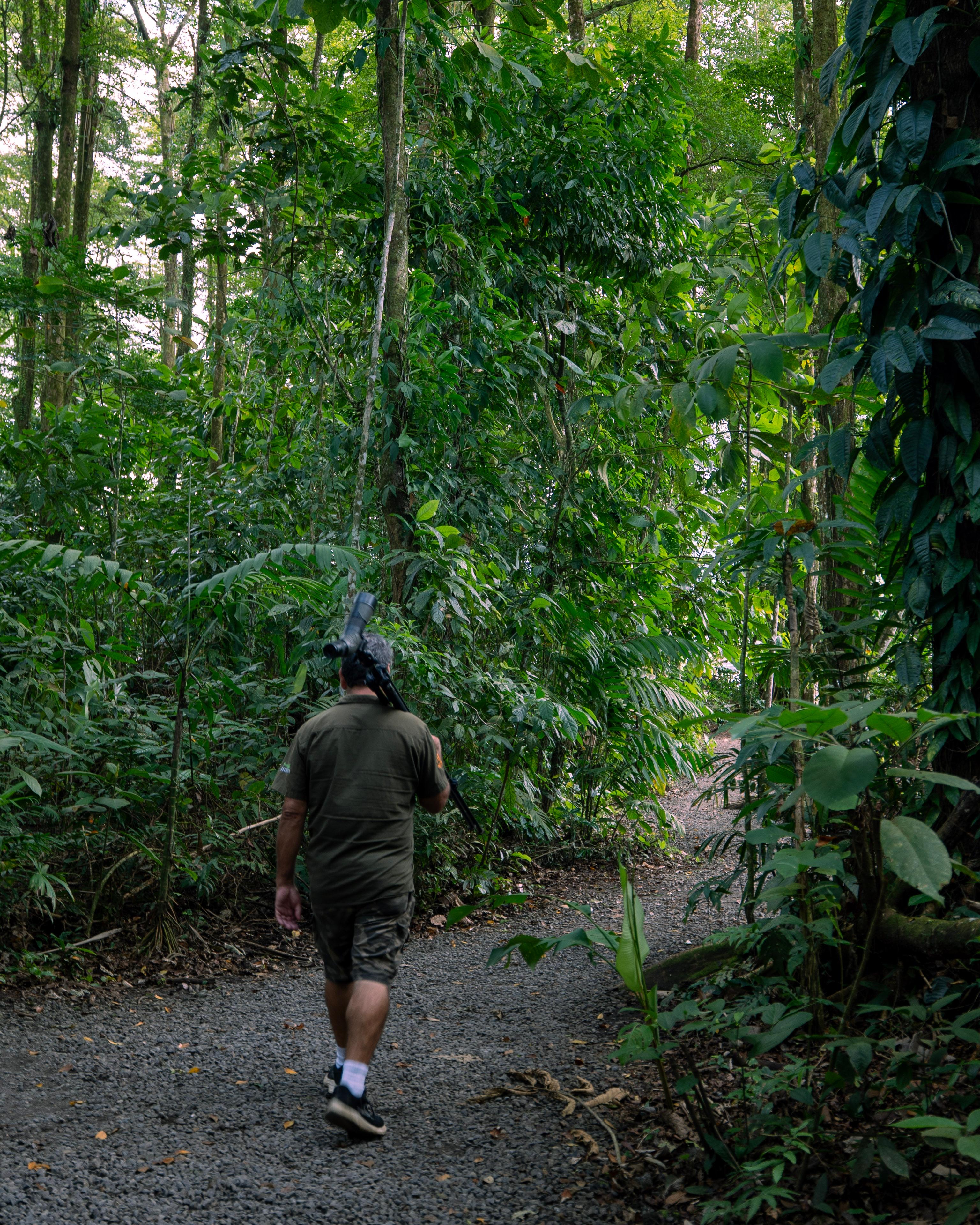 La Fortuna Bogarin Trail: Expert-Led Sloth & Wildlife Walk
