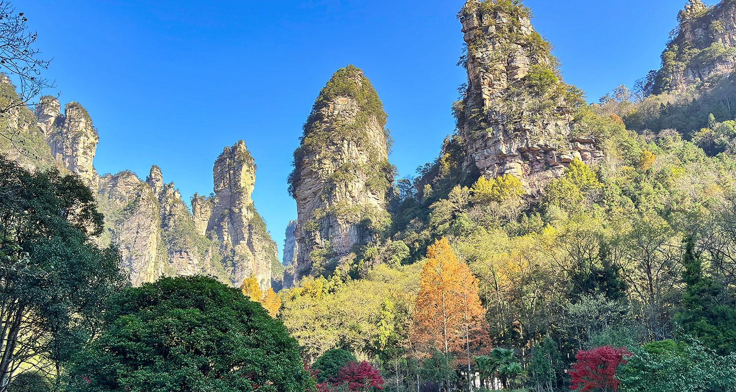 Zhangjiajie Avatar Mountain & Forest Park Full-Day Tour