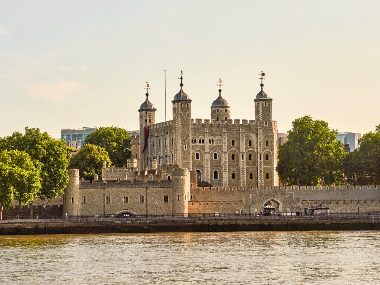 Tower of London tour — Crown Jewels and historic fortress — image 8