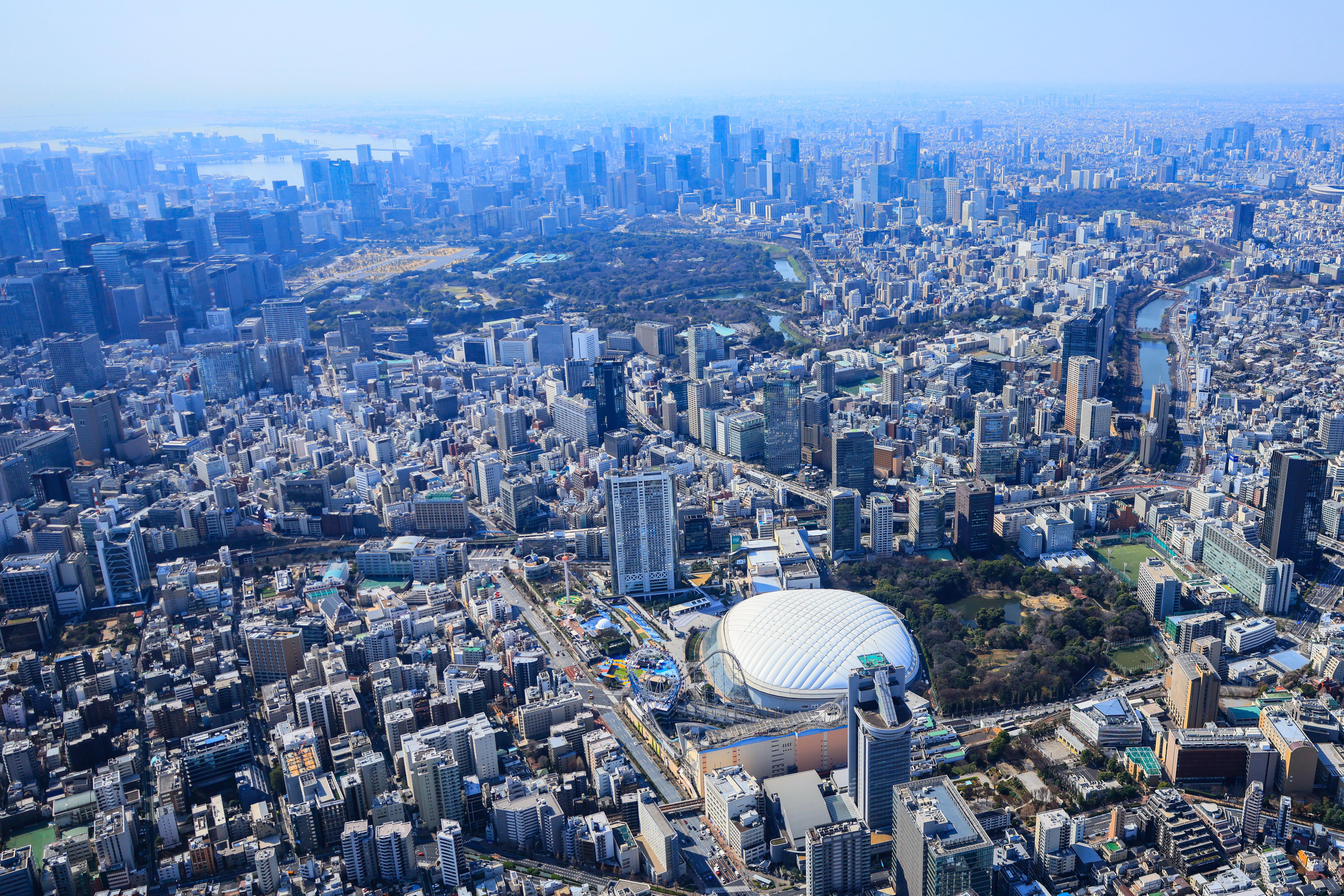 private helicopter tour over Tokyo — image 2