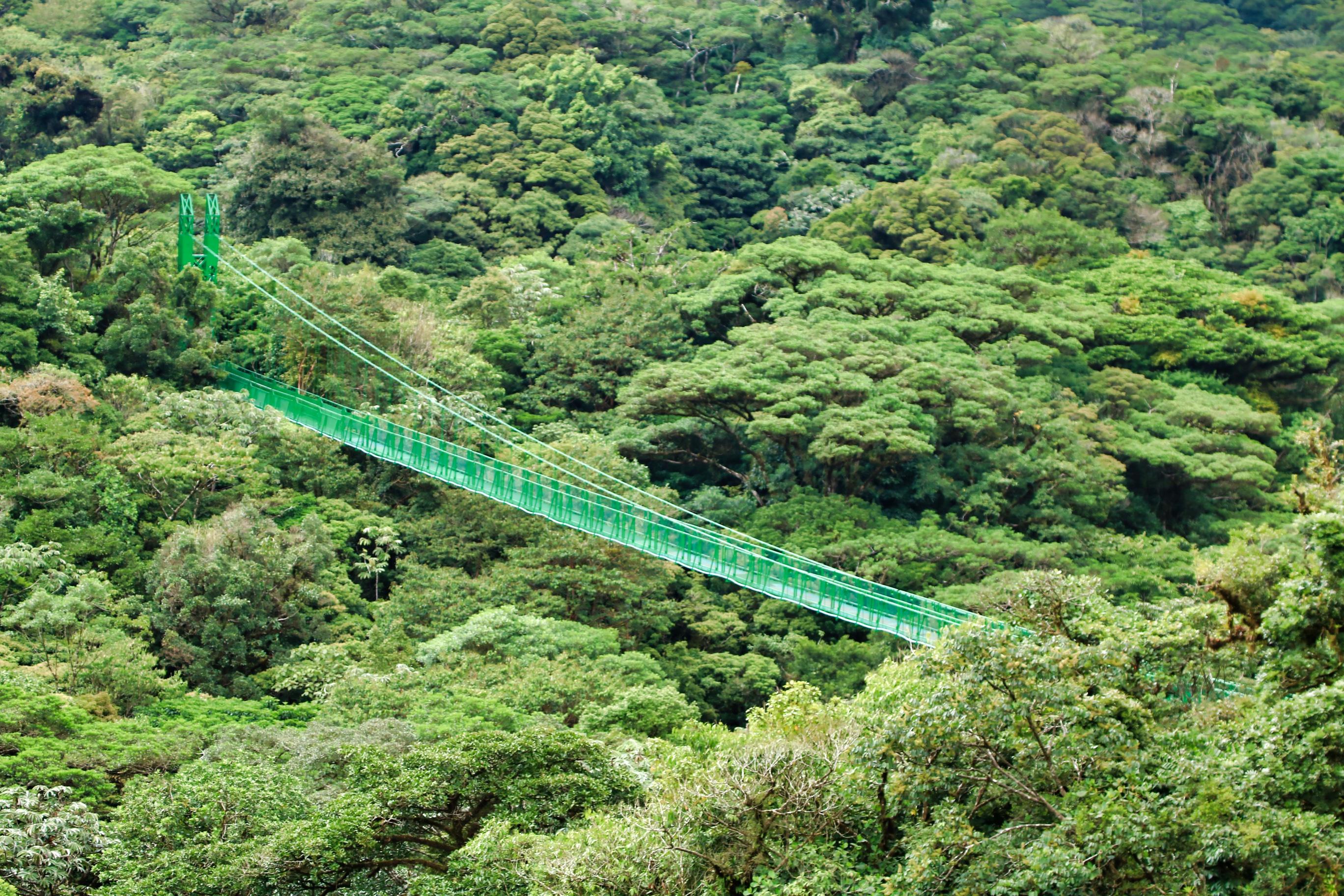 Monteverde Selvatura Park Gold Experience: Zip Lines & Hanging Bridges