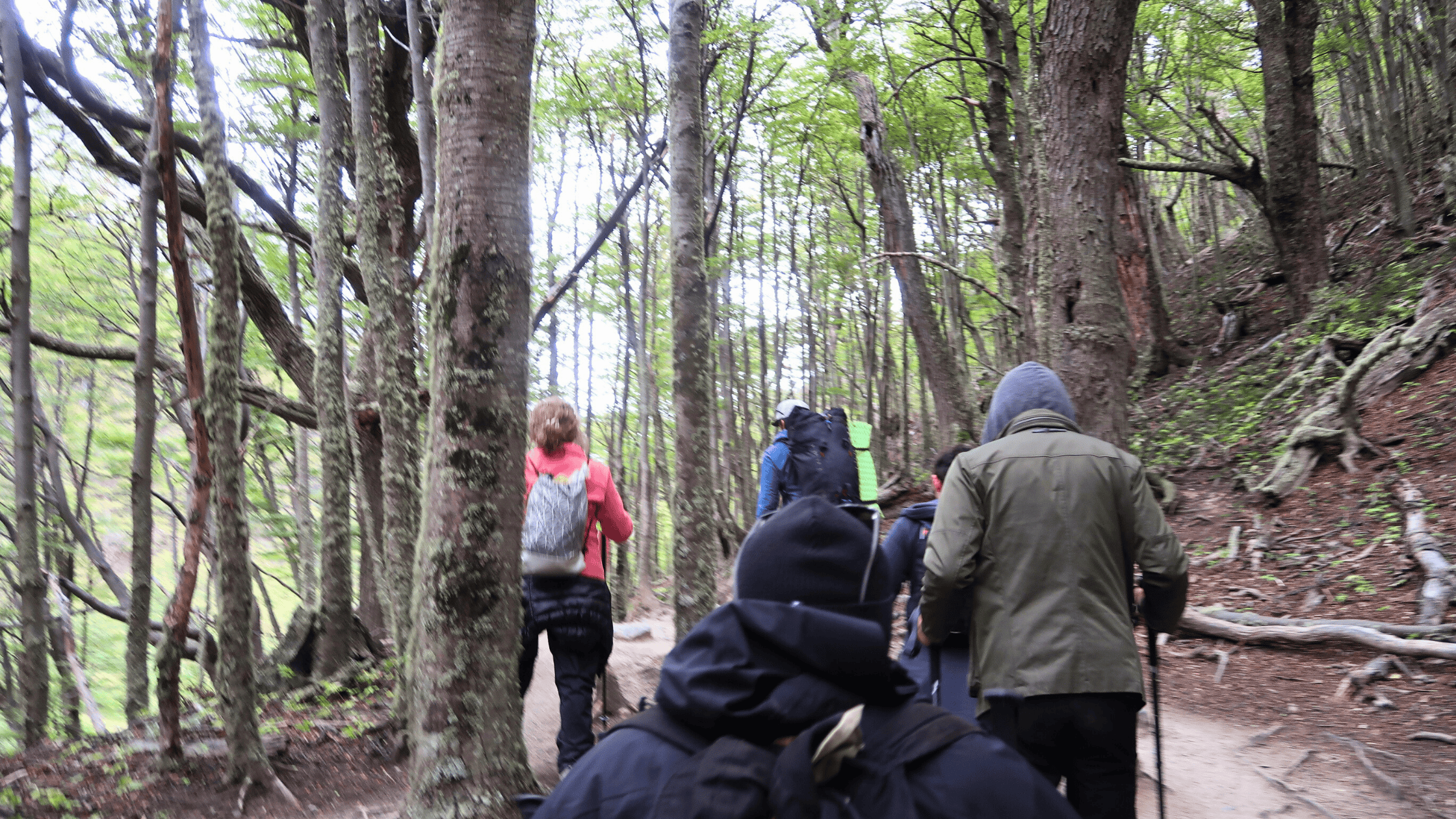 Base Torres Small Group Trekking Adventure