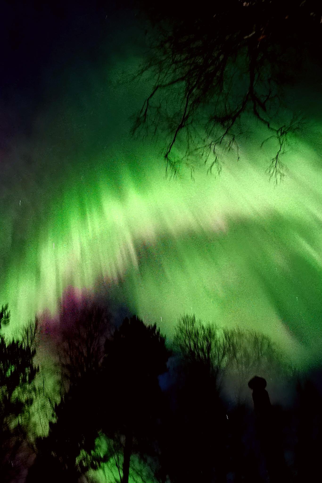 Rovaniemi Reindeer, Husky & Northern Lights BBQ Safari