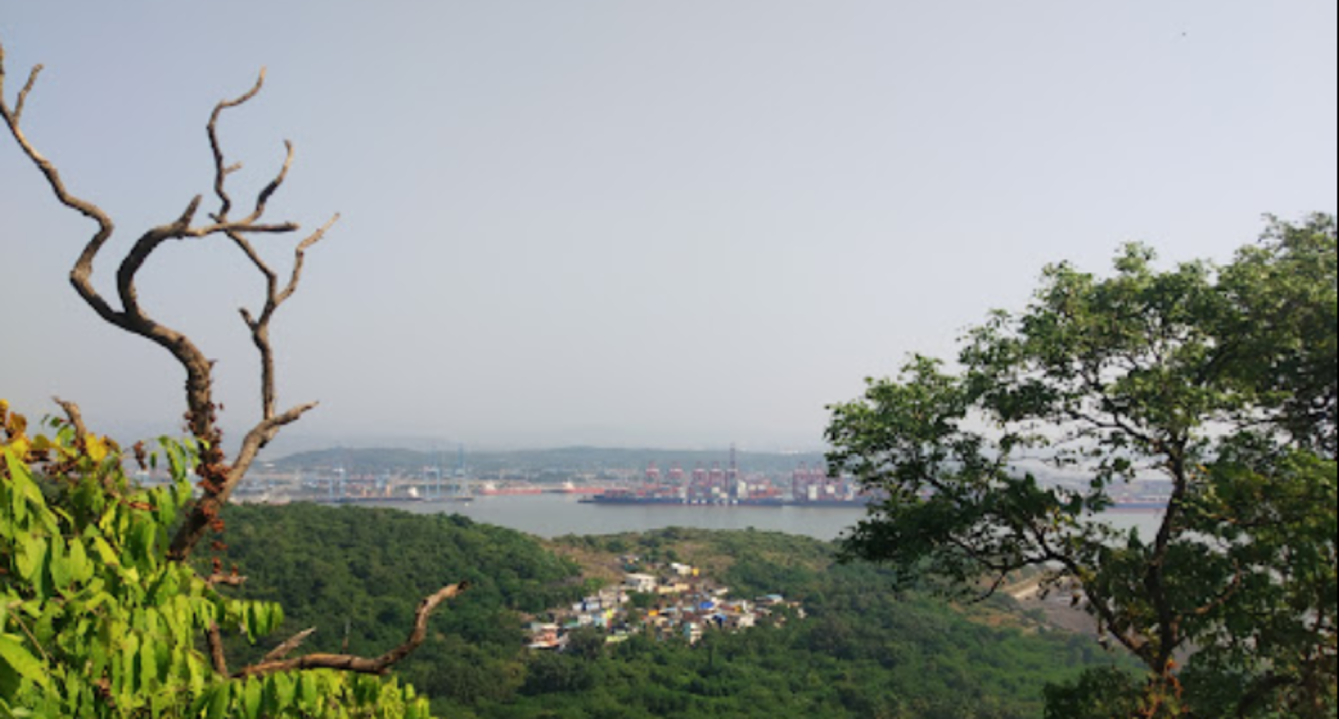 Mumbai: Half-Day Elephanta Caves Excursion & Ferry Trip