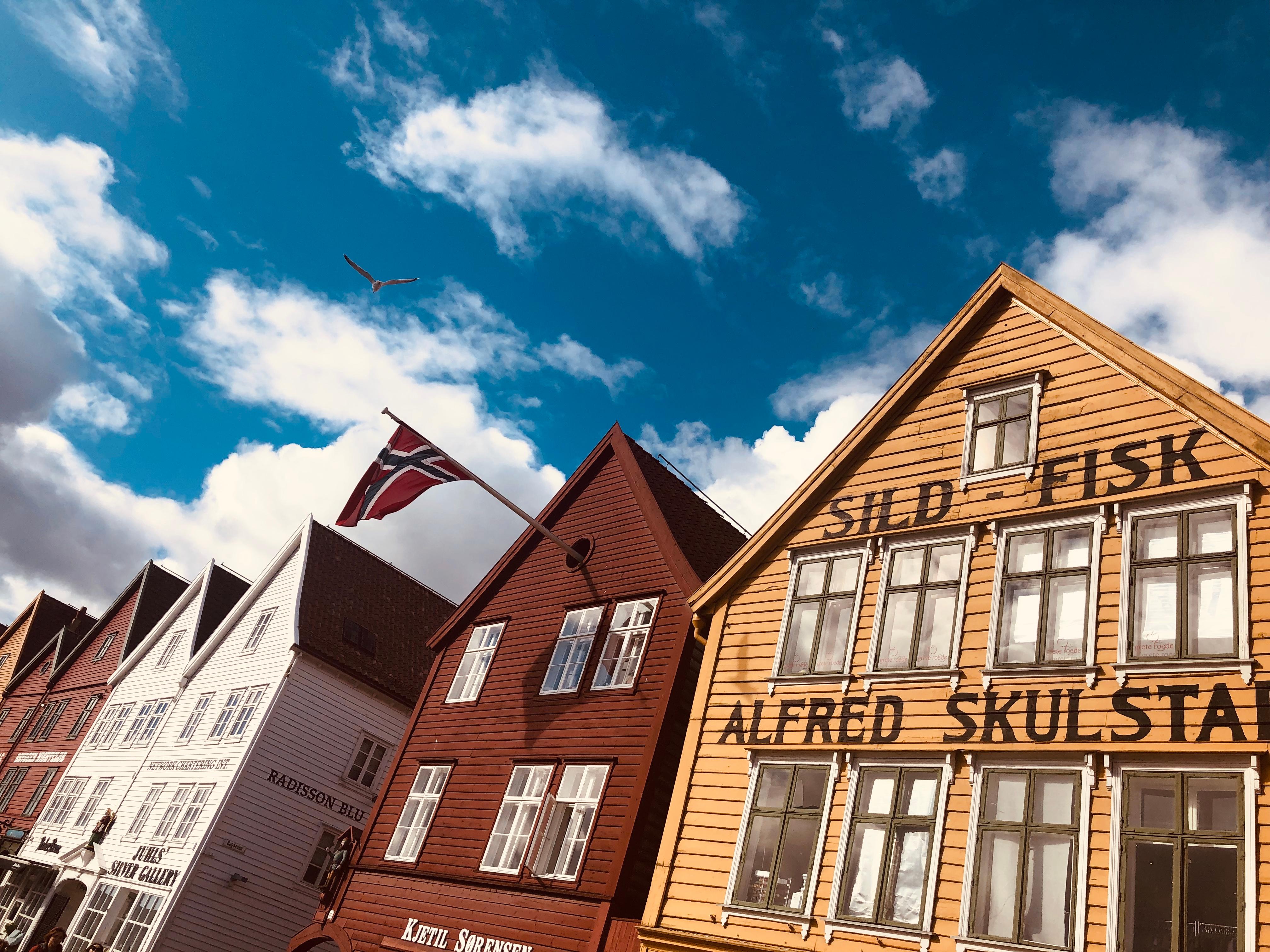 Private Bergen Shore Excursion with Mt. Ulriken Gondola Ride