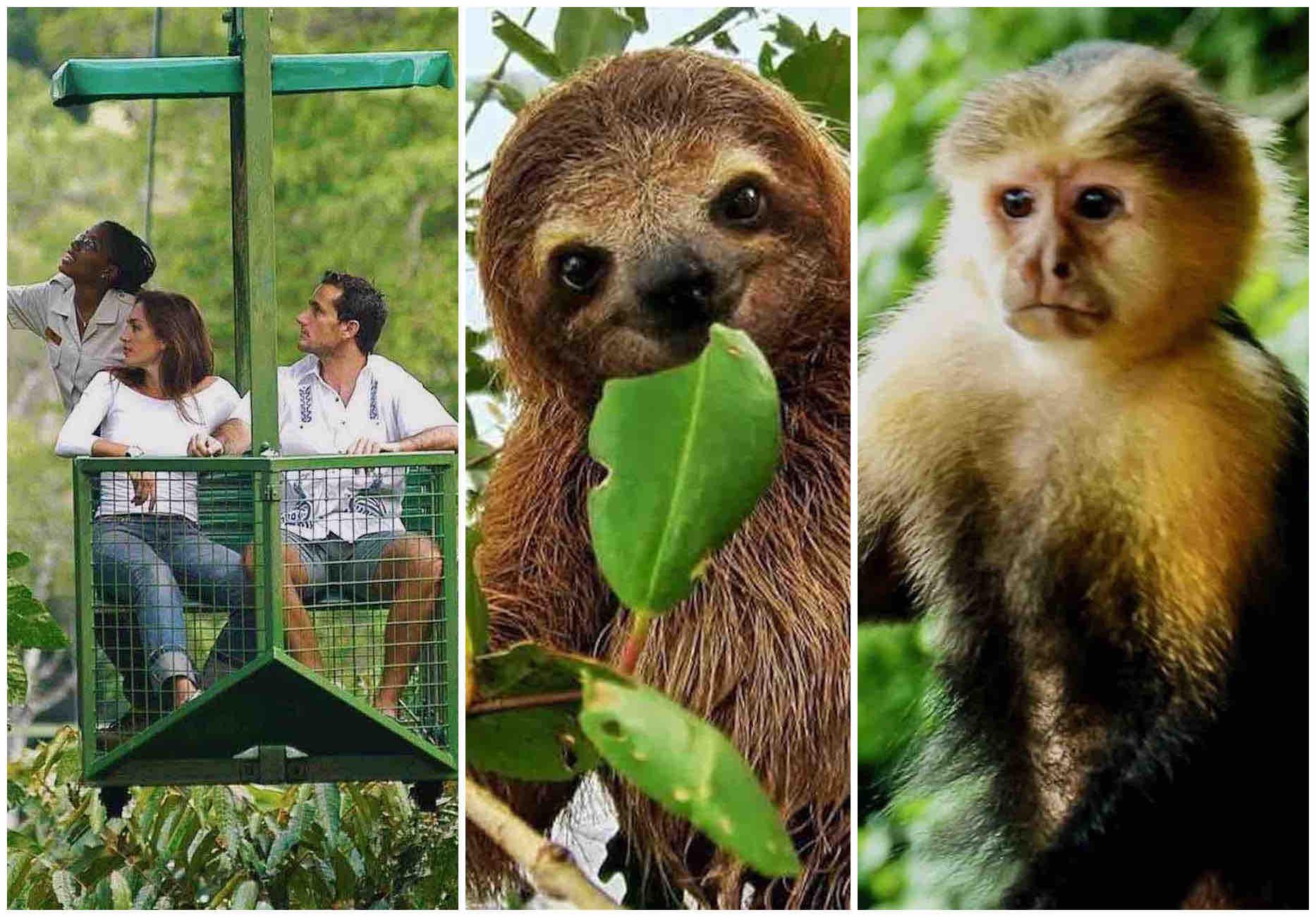 Gamboa Rainforest Adventure: Aerial Tram, Lake Safari & Sloth Sanctuary