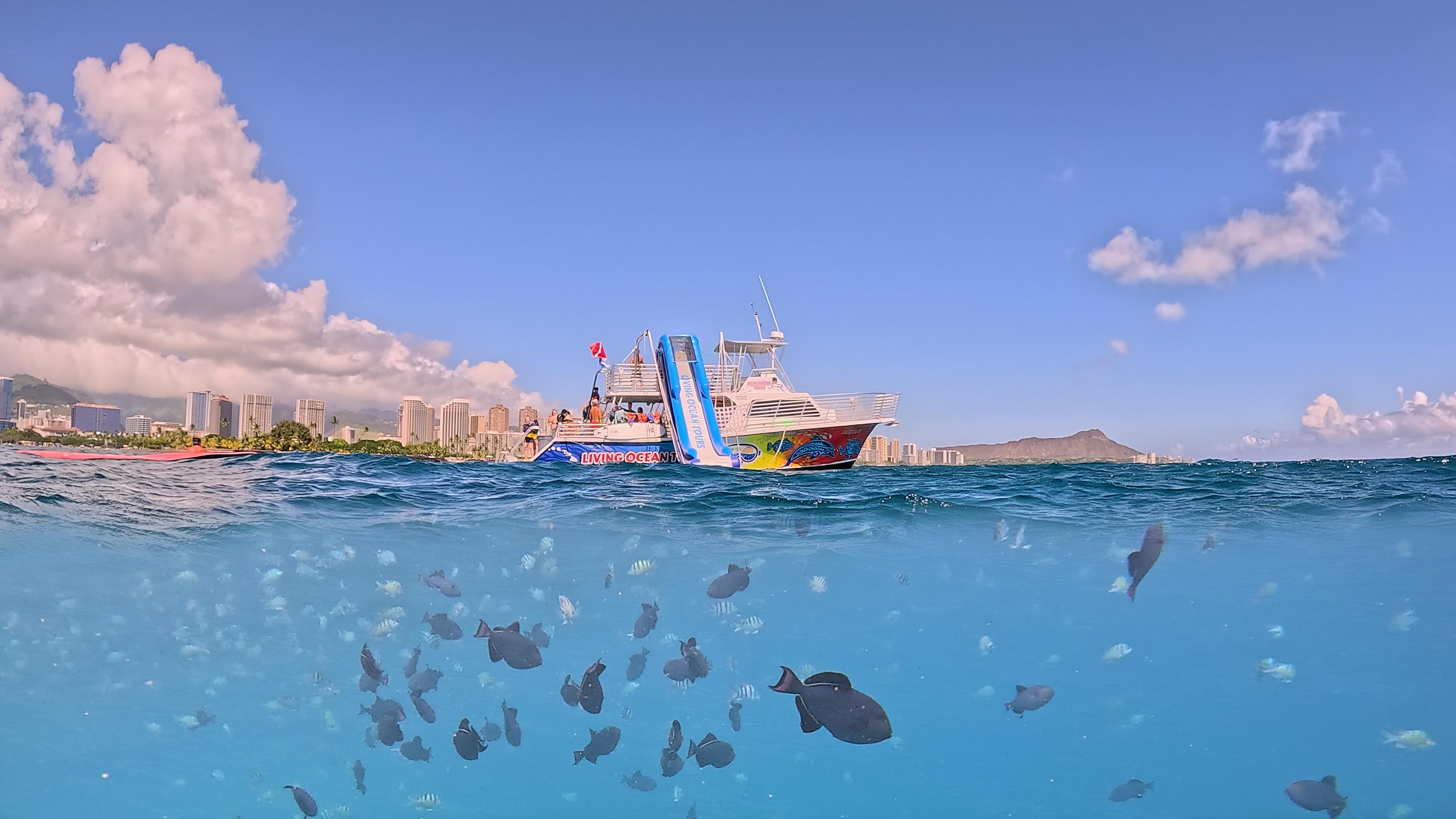 Waikiki Deluxe Snorkel & Wildlife Boat Cruise
