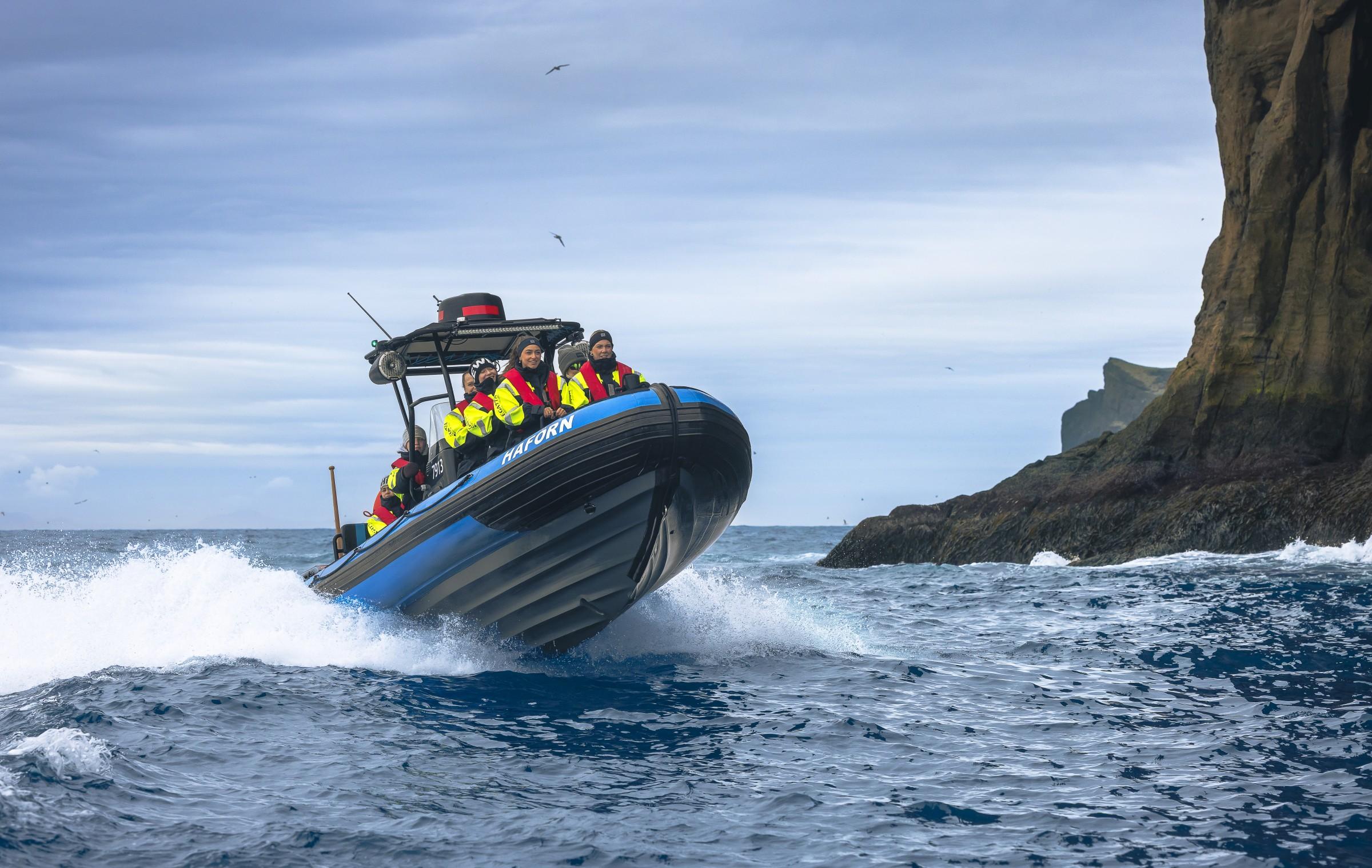 Westman Islands RIB Boat Adventure