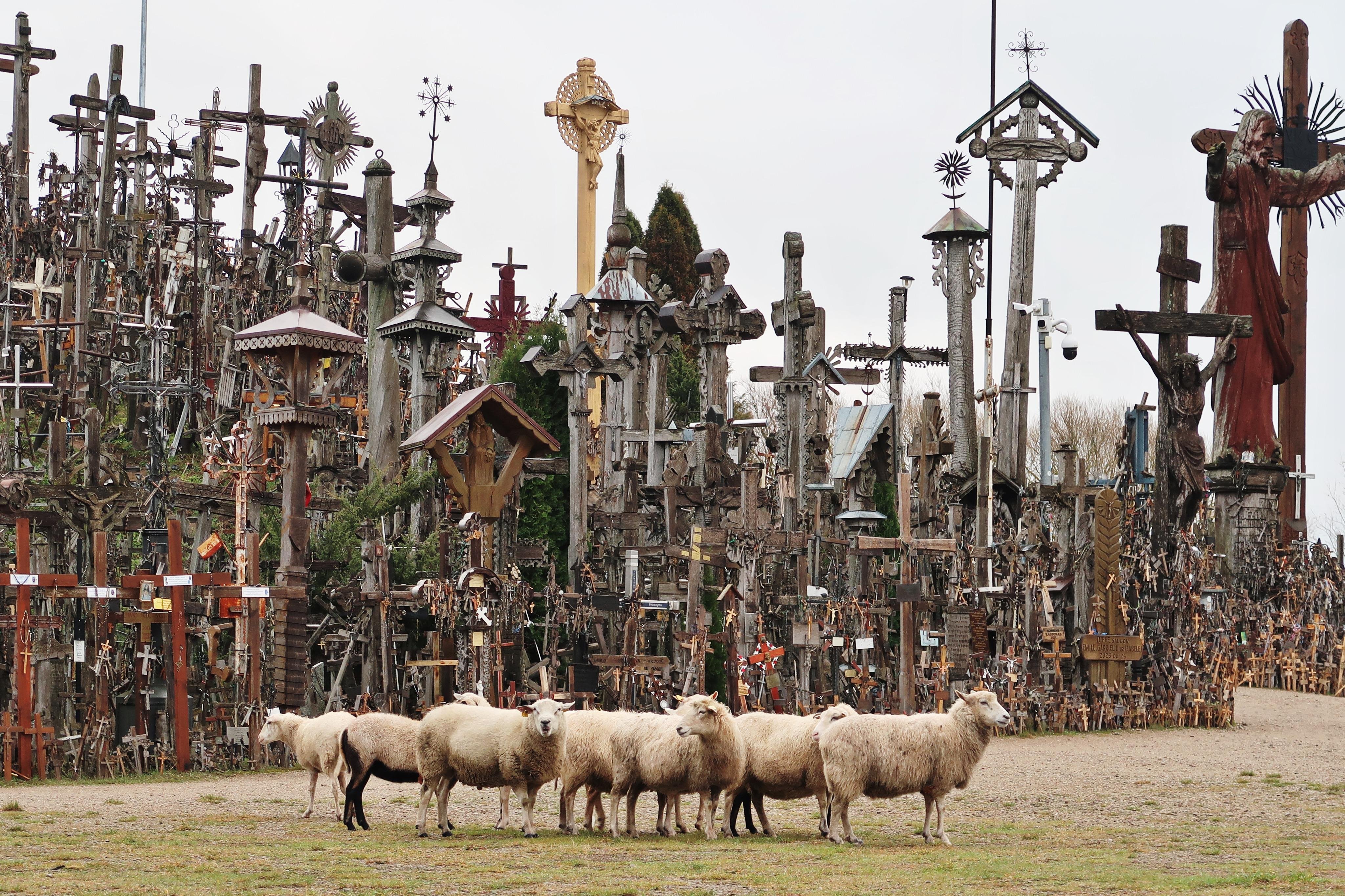 Hill of Crosses & Jelgava Discovery from Riga