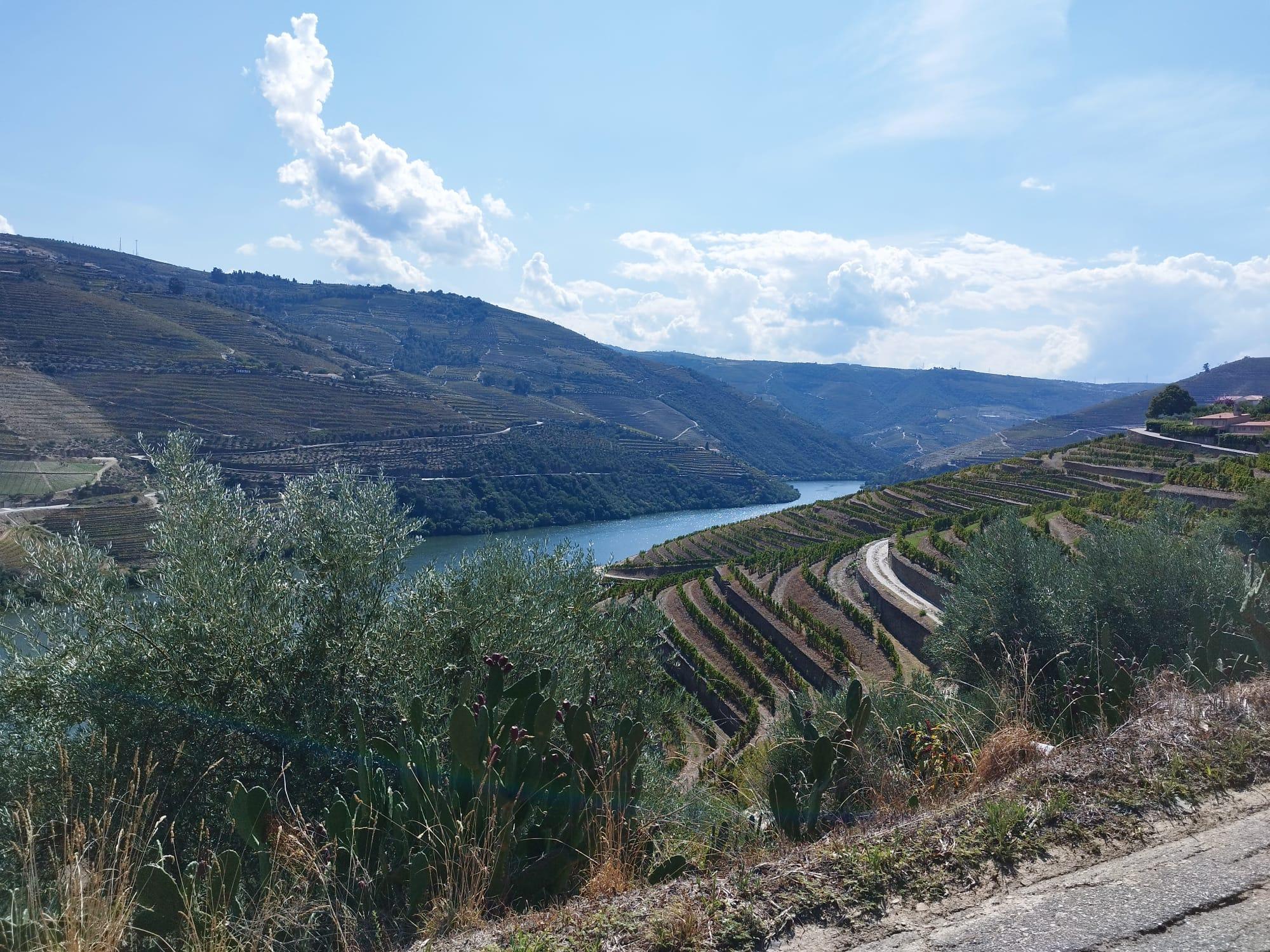 Douro Valley River Cruise & Wine Tasting from Pinhão