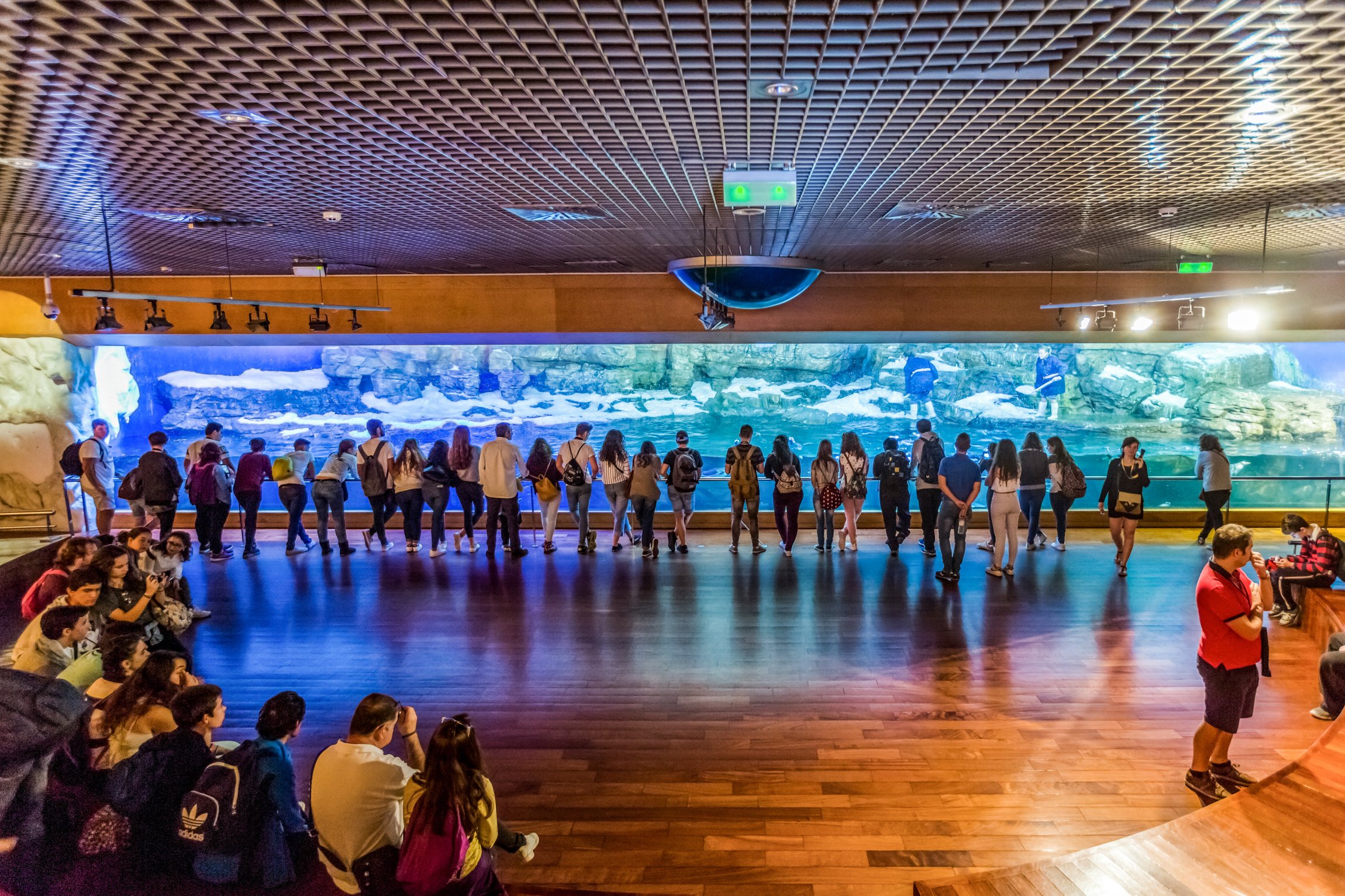 Valencia Oceanogràfic Entry Ticket