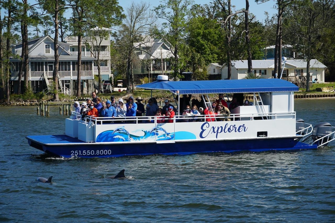 Dolphin Watching Eco-Cruise in Orange Beach