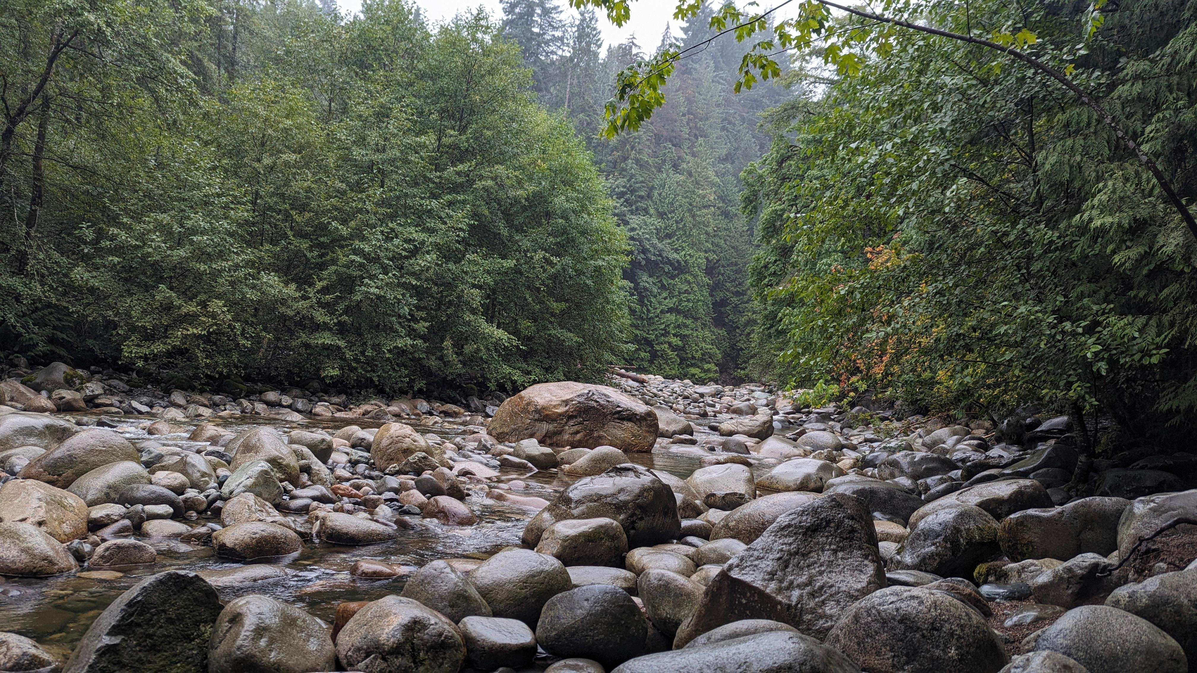 Vancouver North Shore & Capilano Canyon Lights Explorer