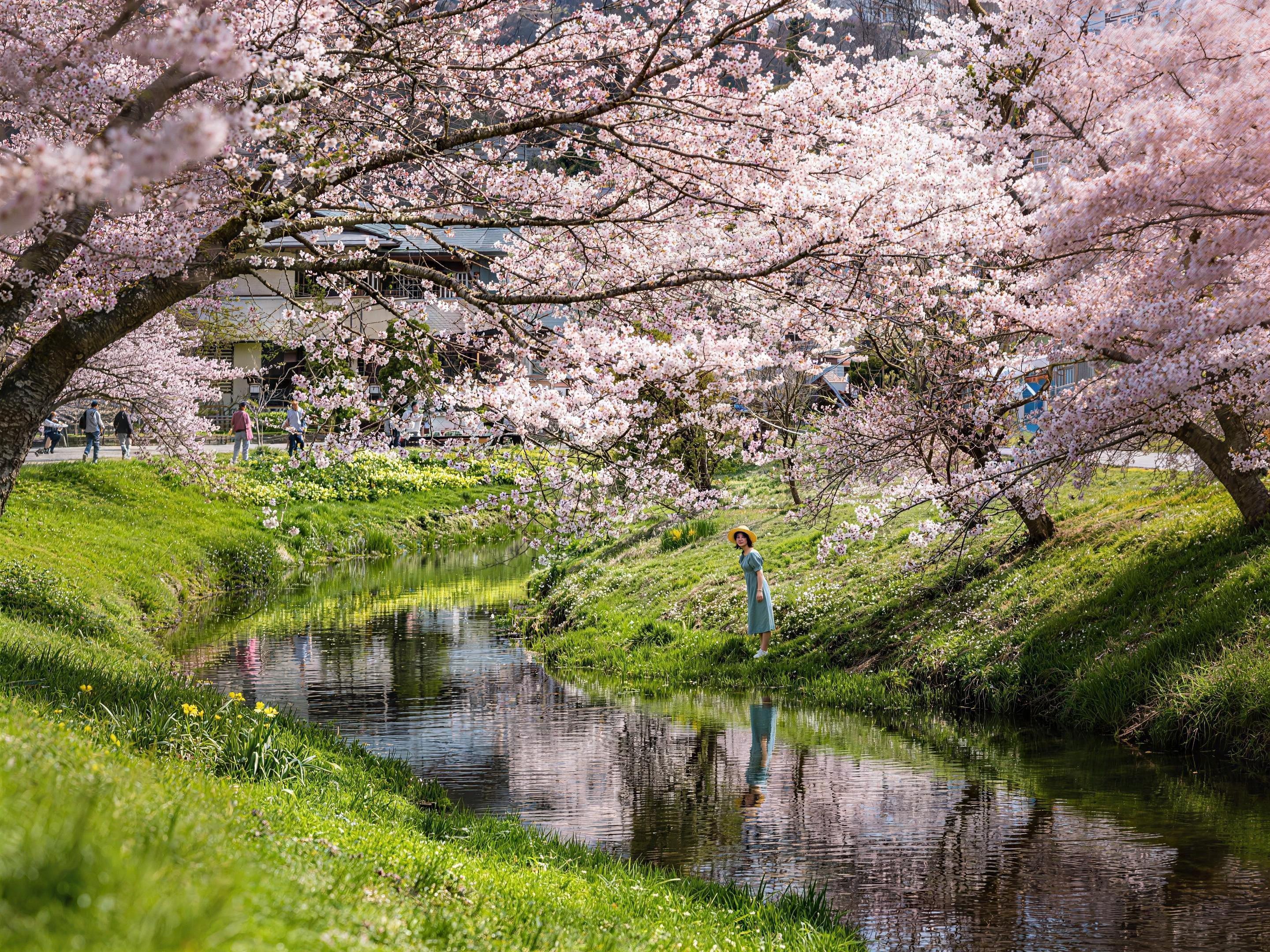 Mt Fuji, Chureito Pagoda & Lake Kawaguchi Full-Day Tour from Tokyo