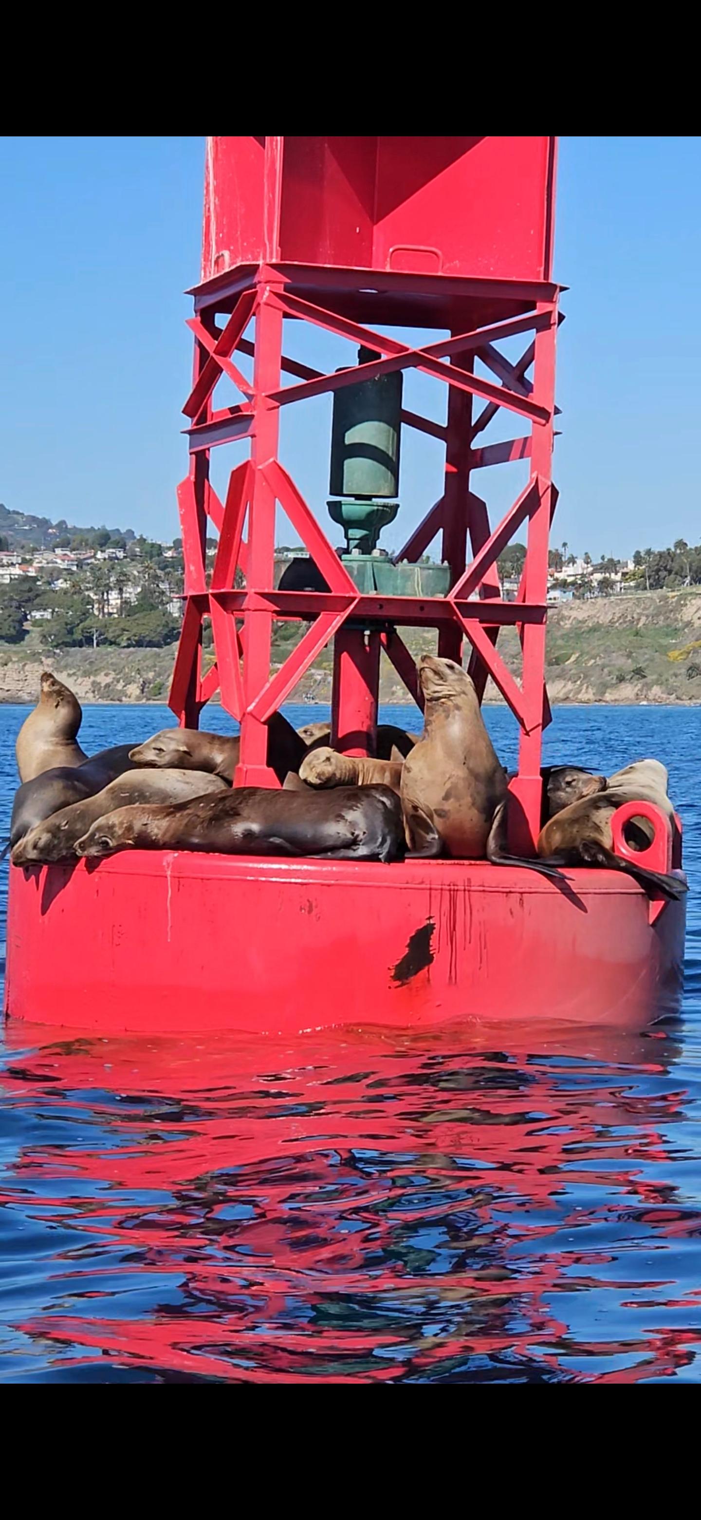 Catalina Island Ocean Adventure from San Pedro