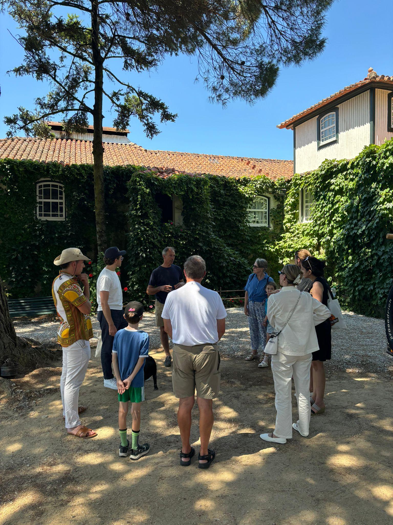 olive oil tasting in Porto — photo 20