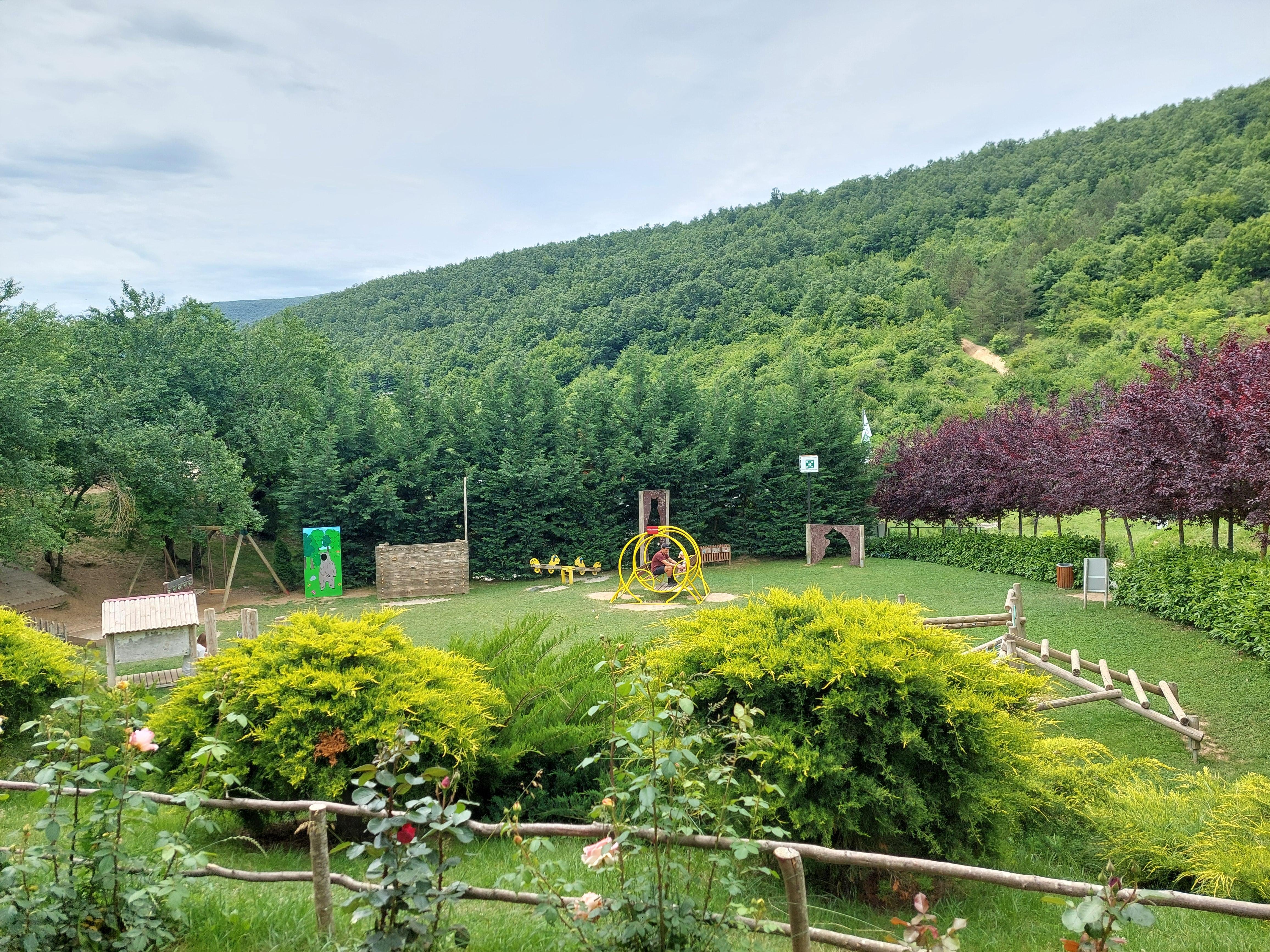 Kosovo Discovery: Pristina, Gračanica & Bear Sanctuary from Skopje