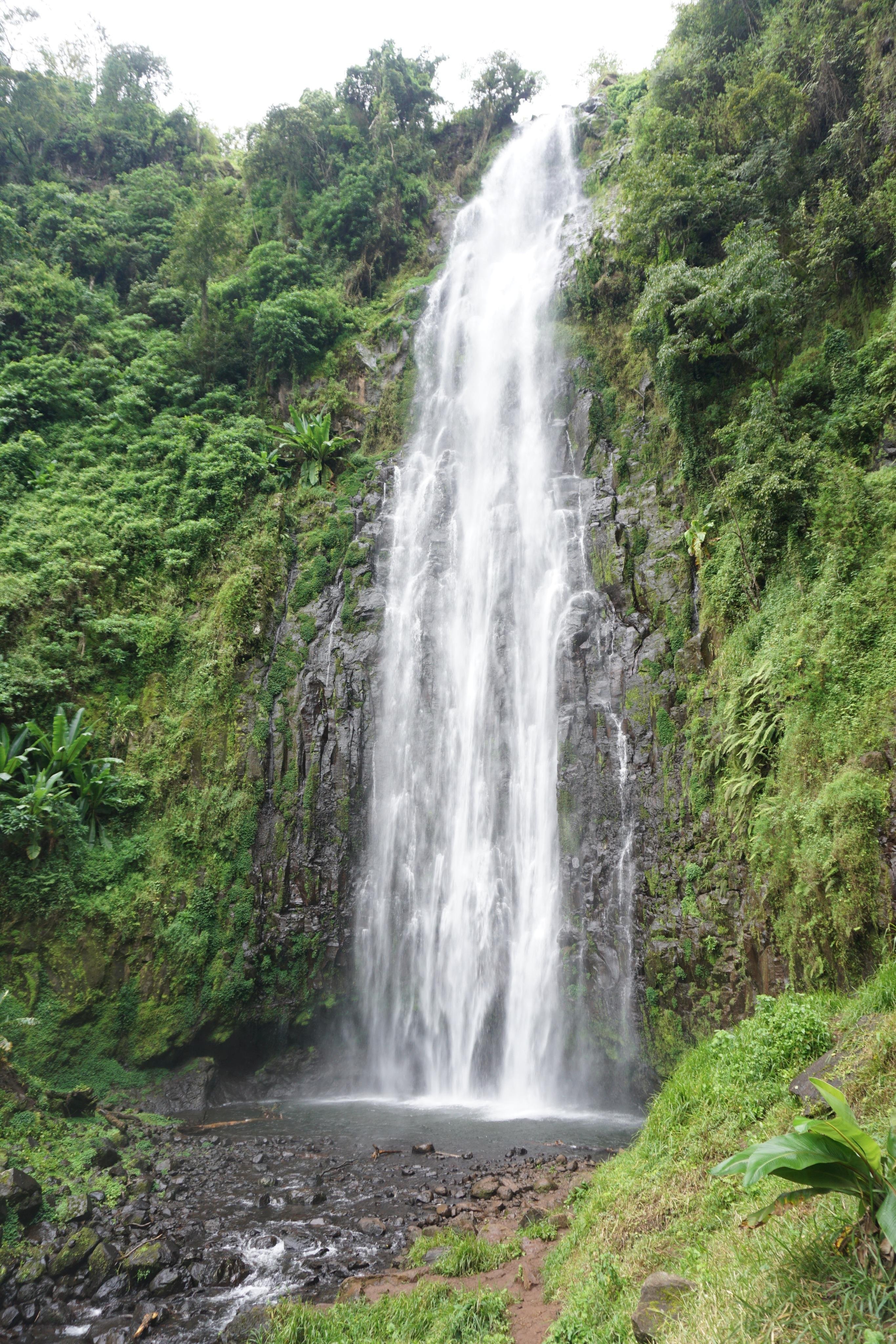 Materuni Waterfalls & Coffee Farm Experience from Moshi