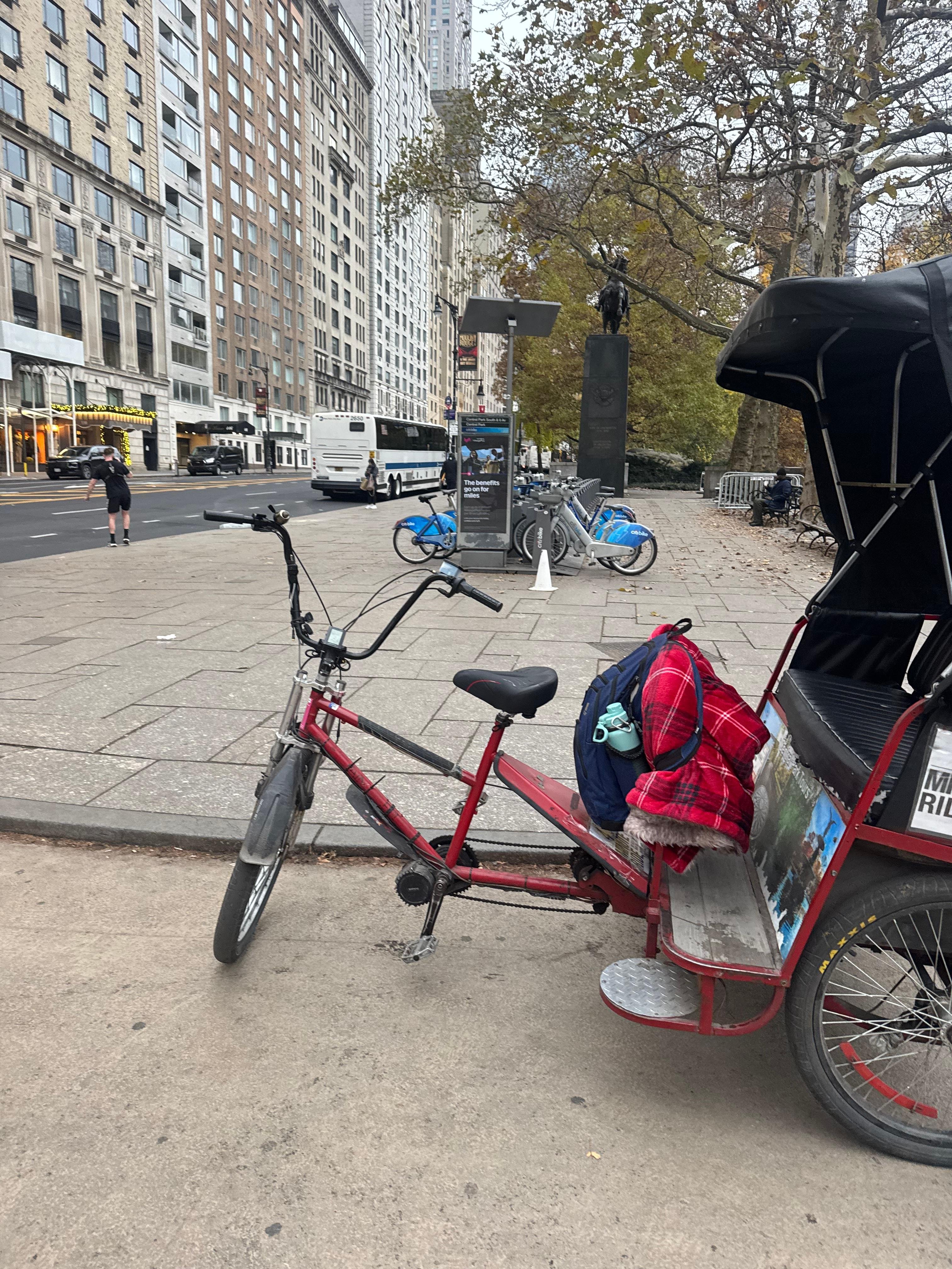 Central Park Exploration by Pedicab or Carriage