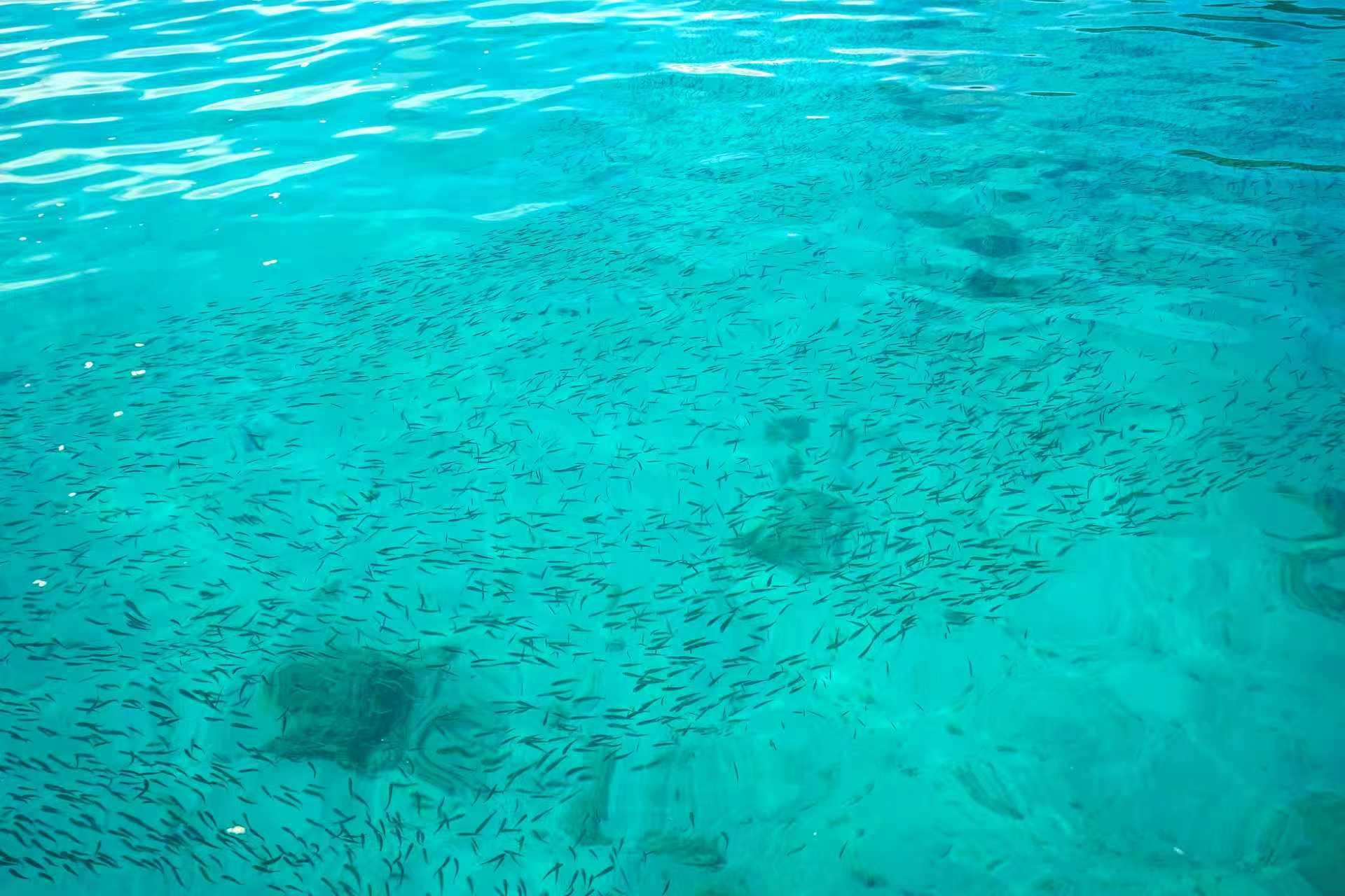 Coral Island Morning Yacht Escape from Phuket