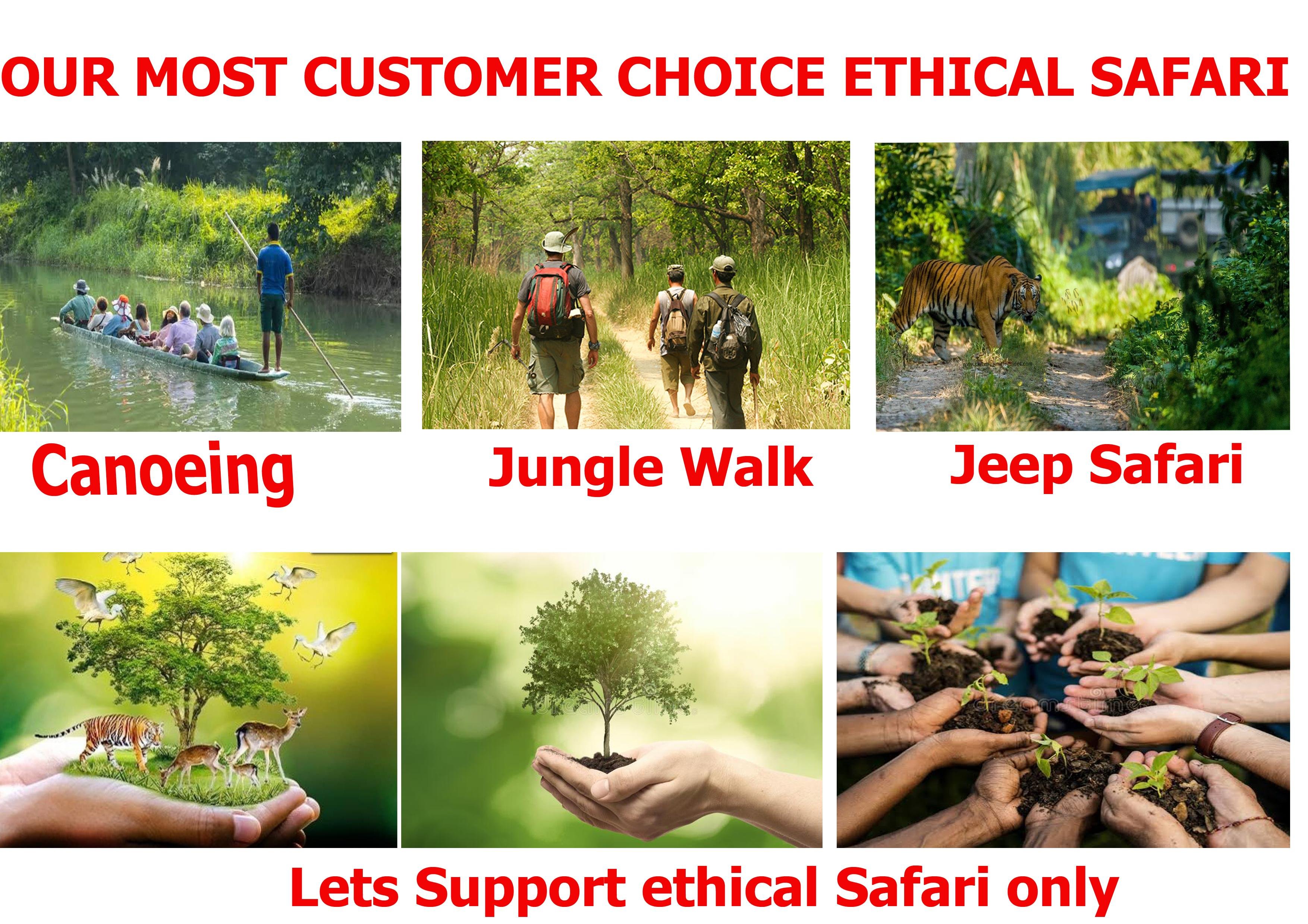 Chitwan National Park Full-Day Wildlife Adventure