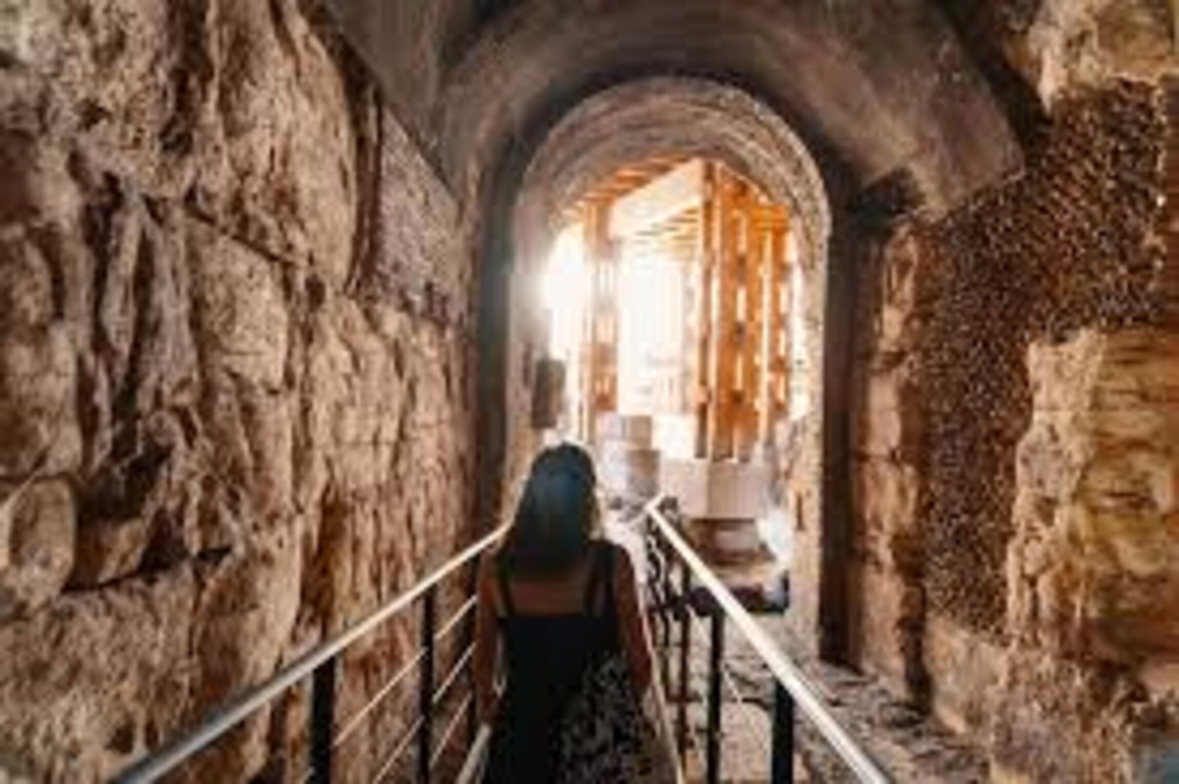 Rome Private Colosseum Underground & Dungeons Tour