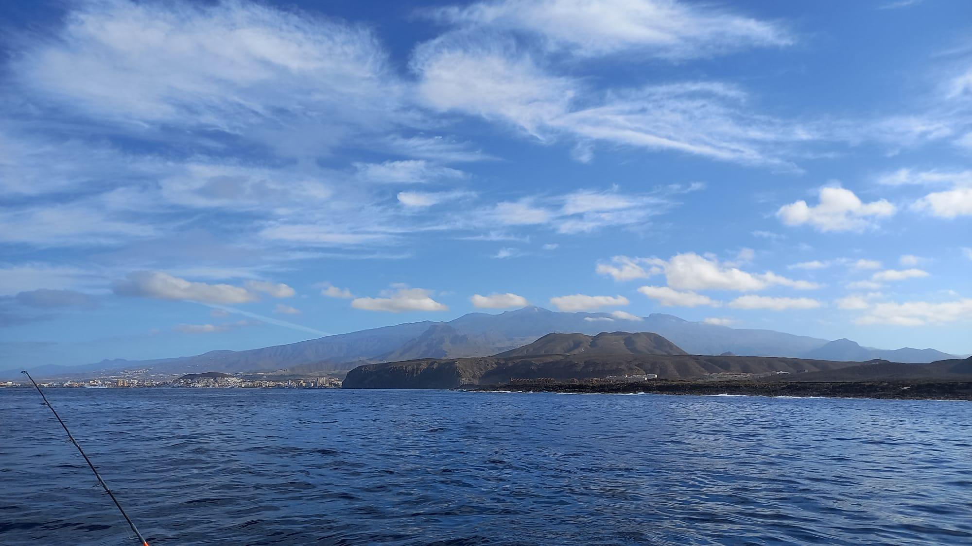 Luxury Whale Watching Safari in South Tenerife