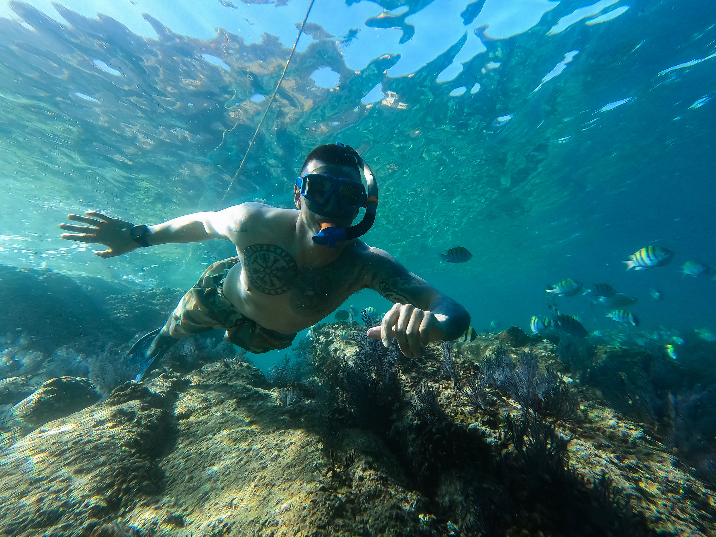 Los Cabos SUP to The Arch, Snorkel & Beach Walk with Transport
