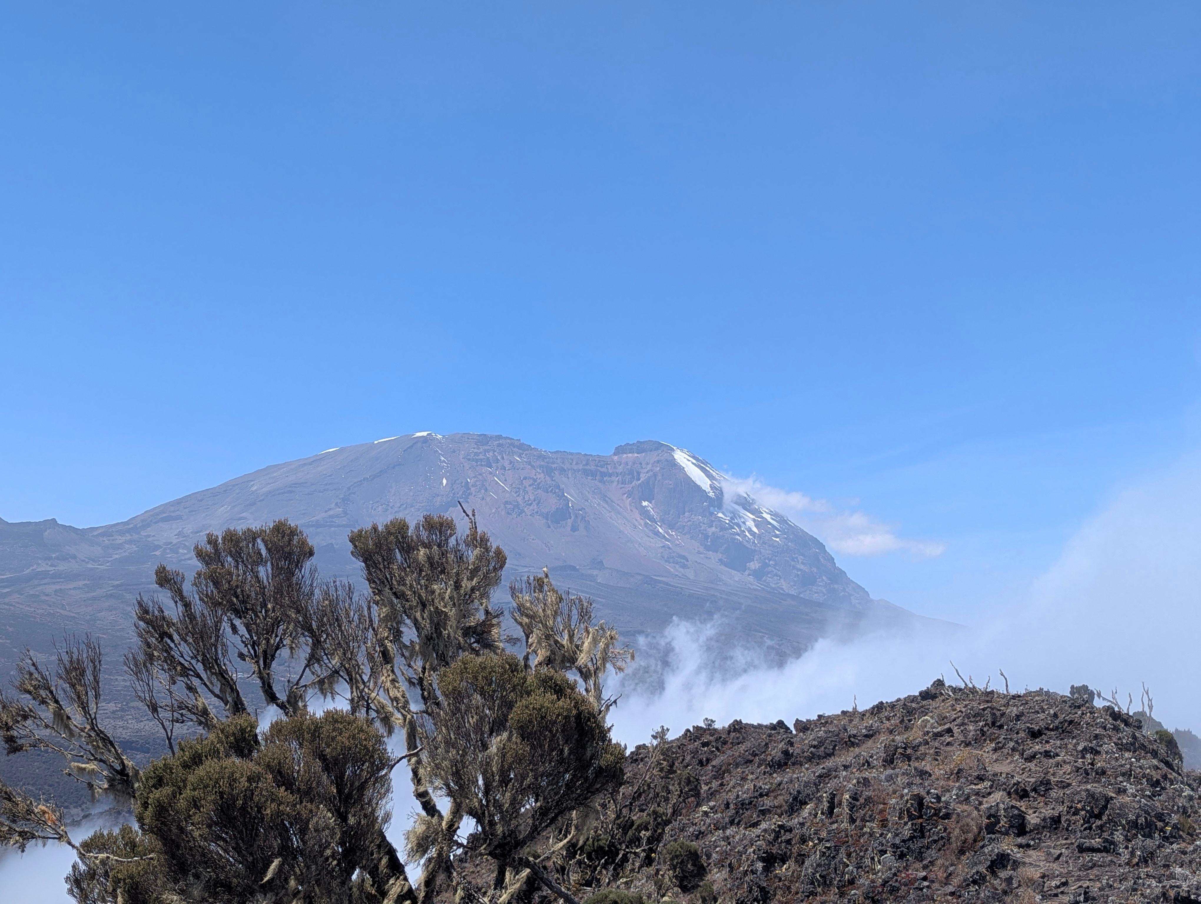 Shira Plateau Day Hike from Moshi