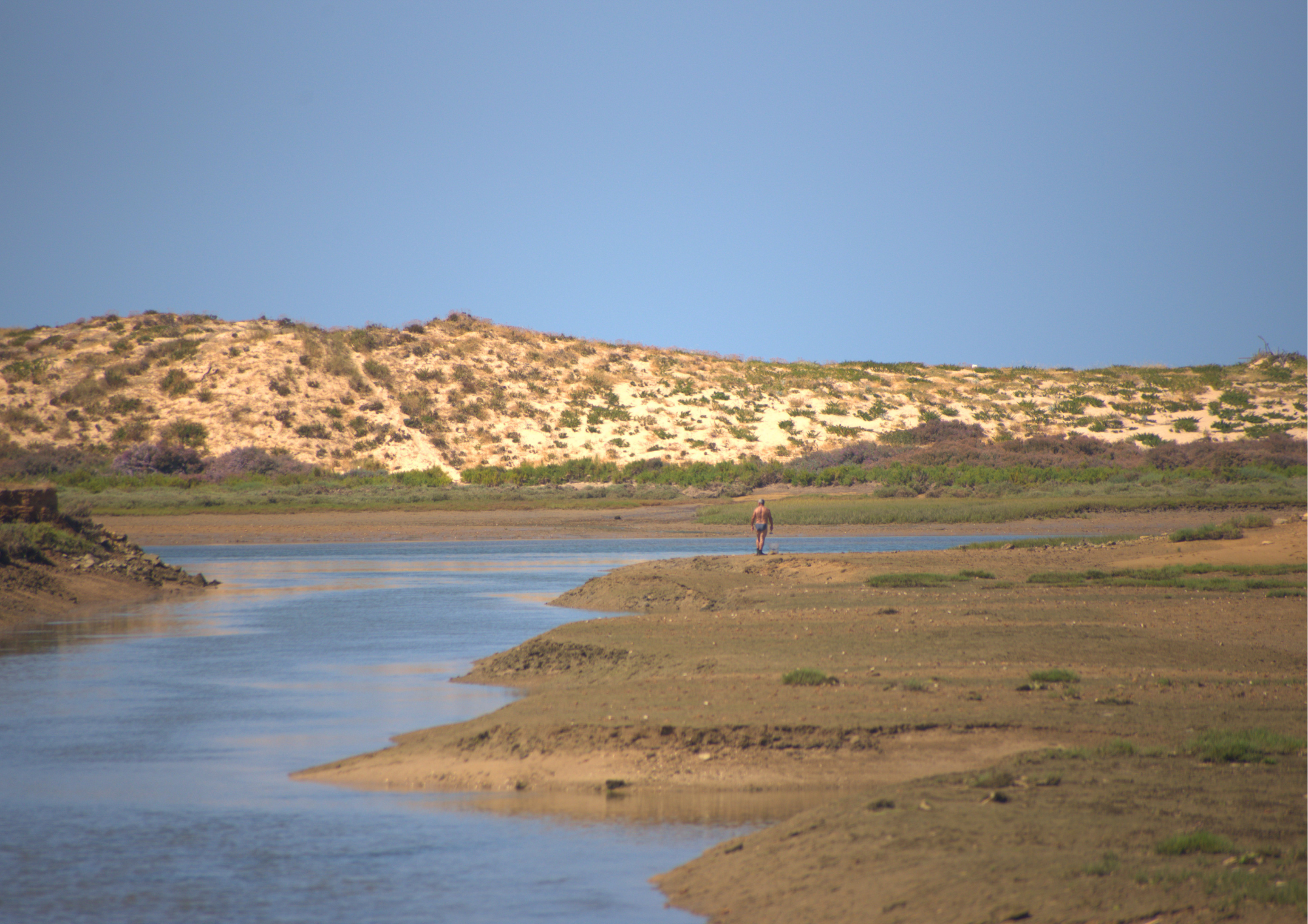 Faro: Ria Formosa Sunset Birdwatching & Ecology Walk