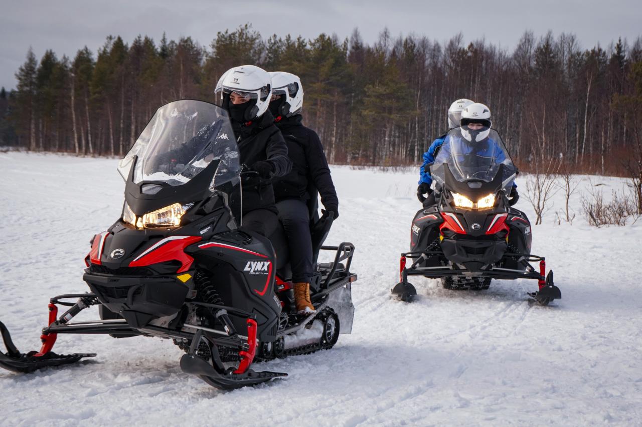 Rovaniemi Arctic Snowmobile Safari on Private Forest Trails