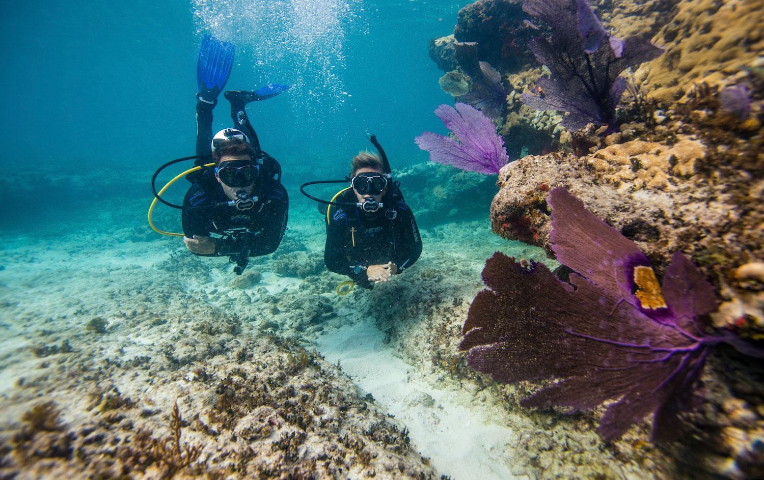 Phuket: Coral & Racha Islands Snorkeling Speedboat Tour