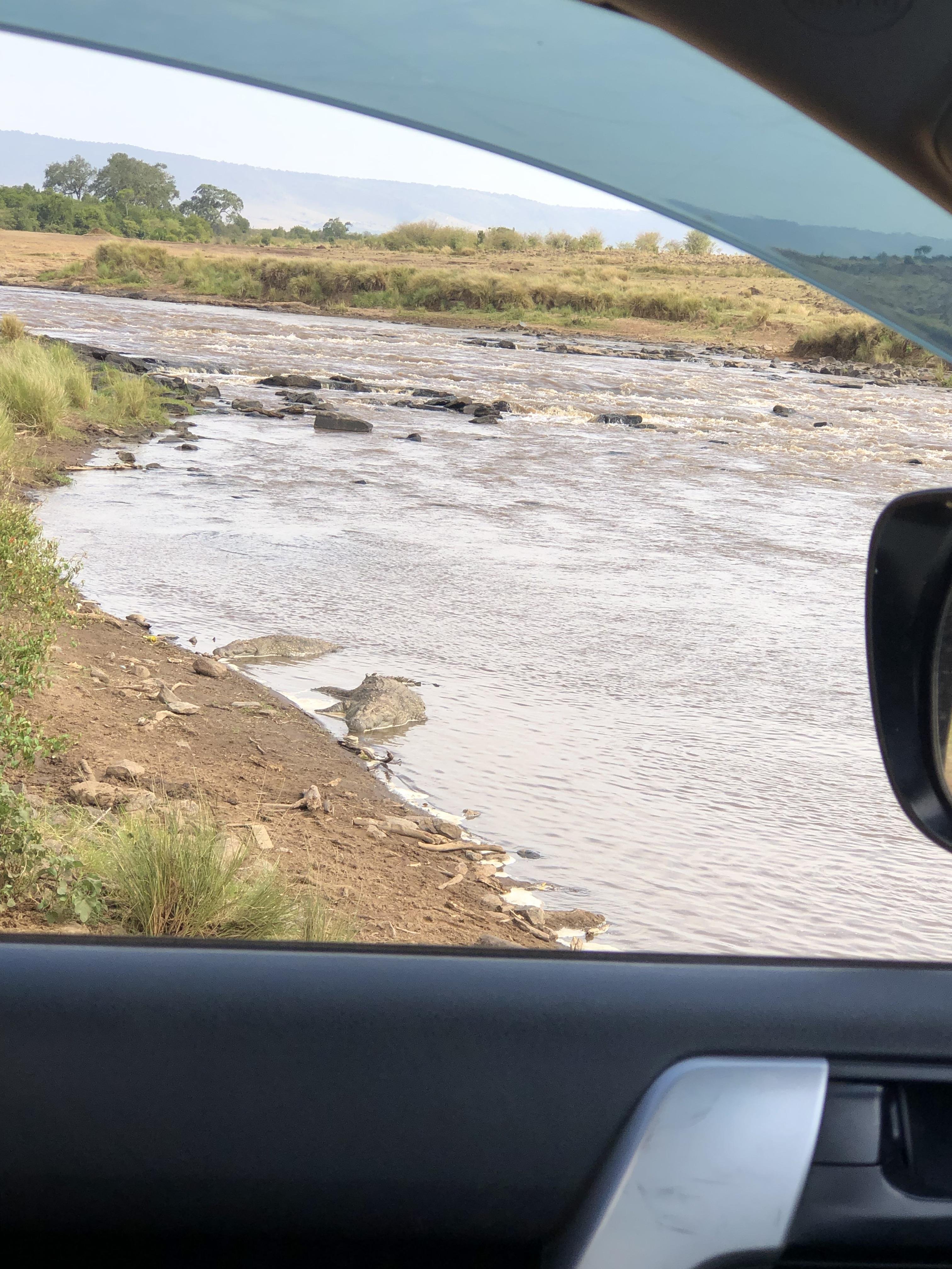 Nairobi to Masai Mara Safari & Masai Village Day Trip