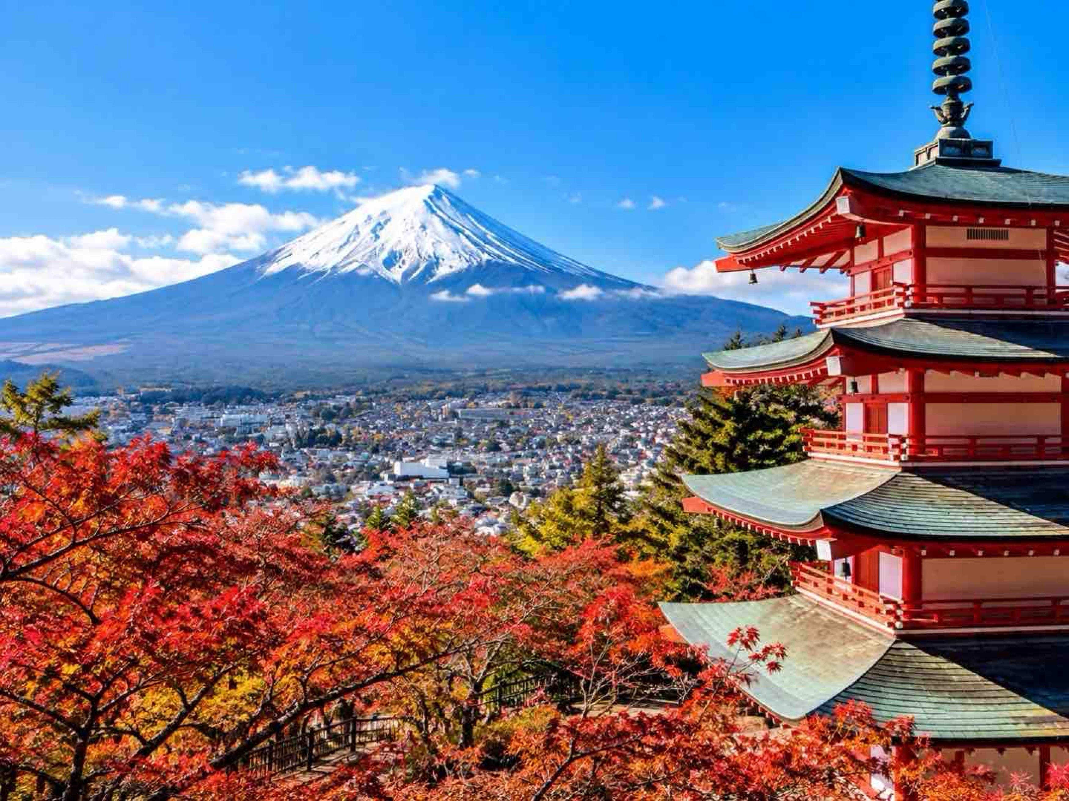 Private Mount Fuji Day Trip from Tokyo with English Guide