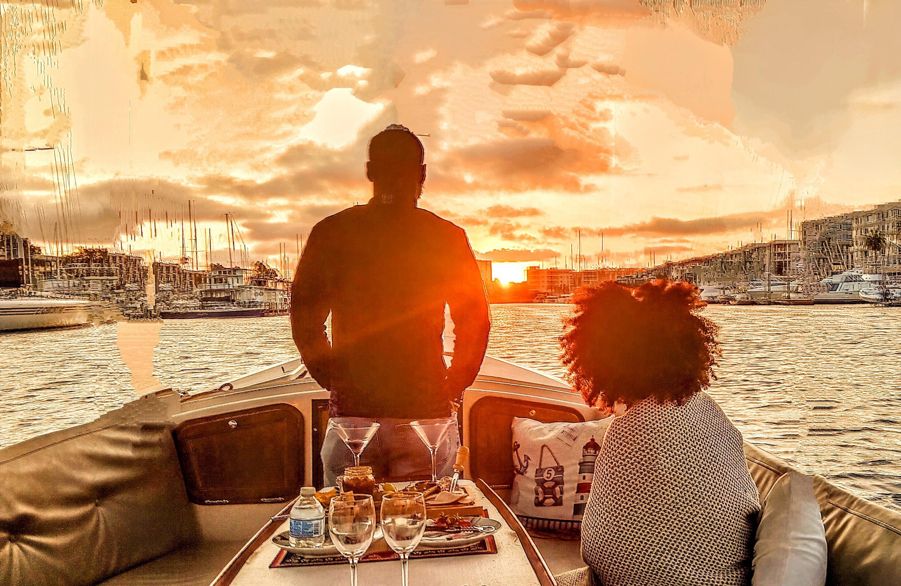 Marina del Rey Electric Boat Cruise with Wine & Wildlife