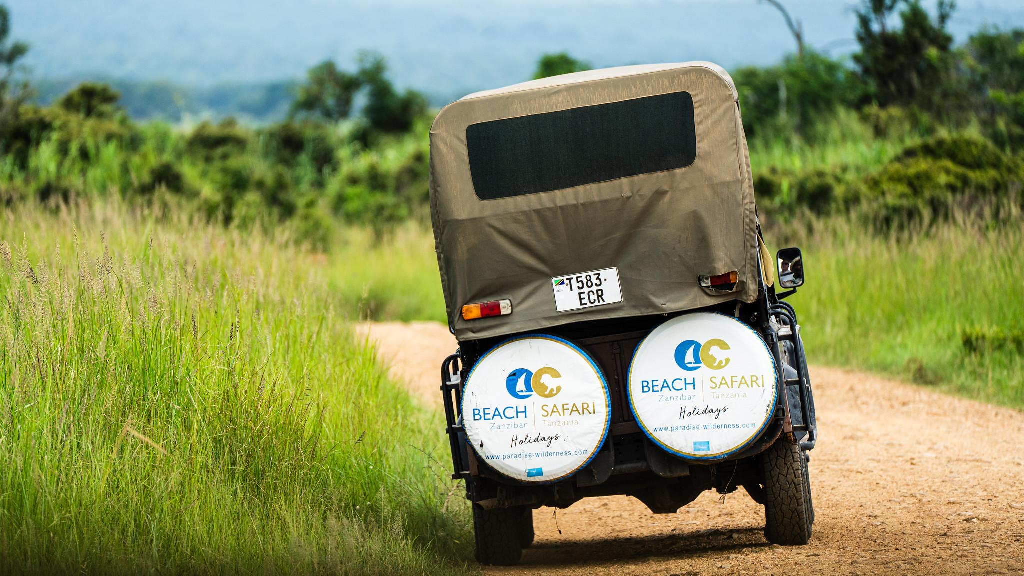 Zanzibar to Mikumi: Fly-In Safari Day Trip with Bush Lunch