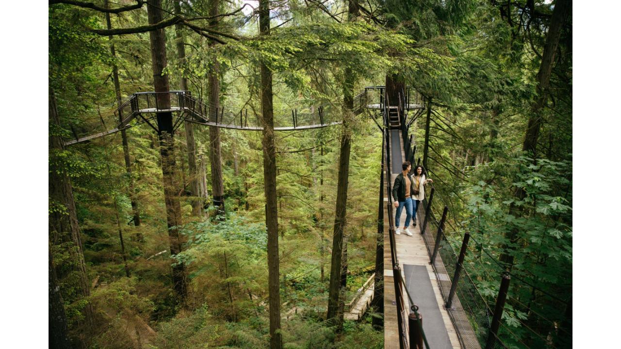 Capilano Suspension Bridge Park Entry