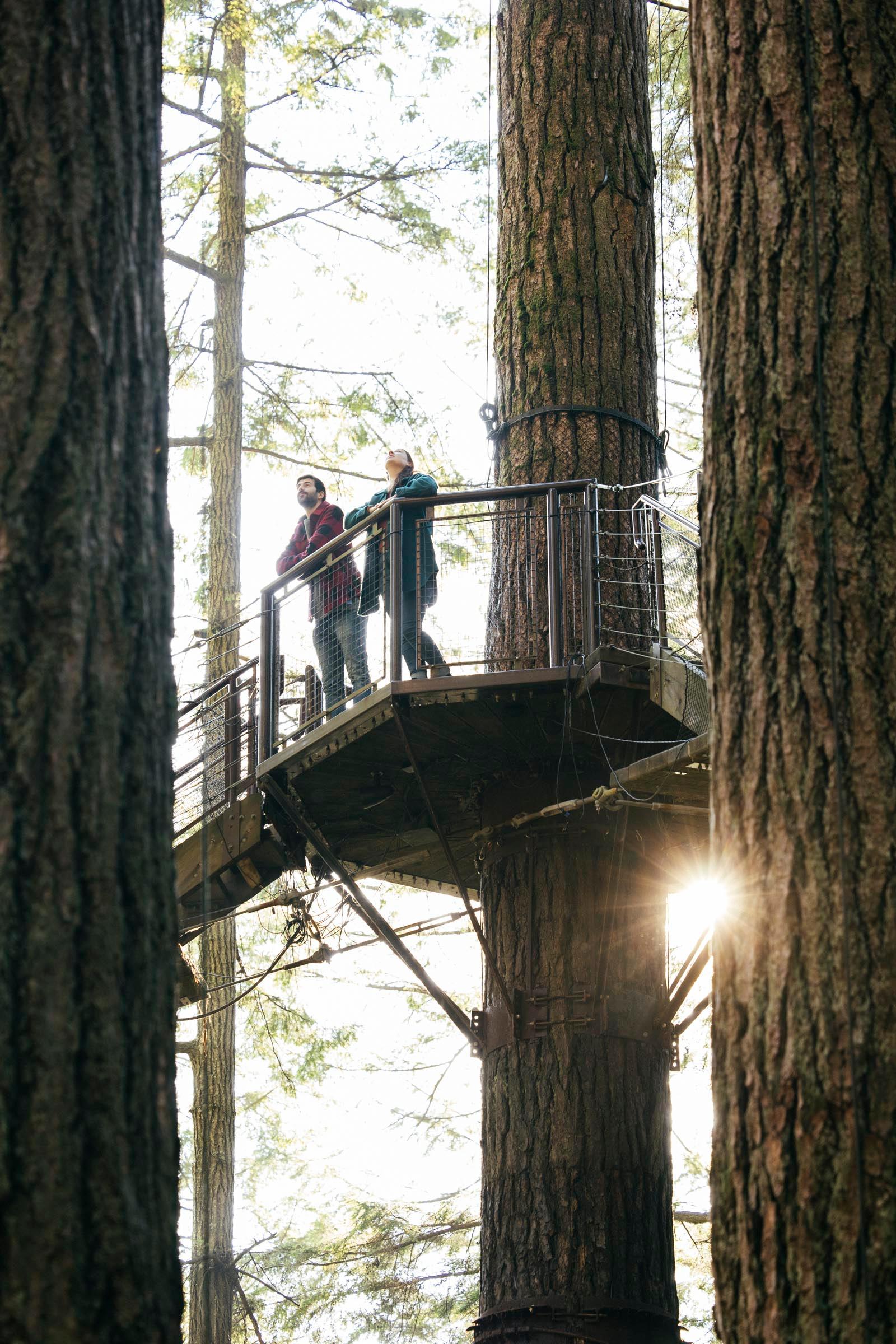 Capilano Suspension Bridge Park Entry