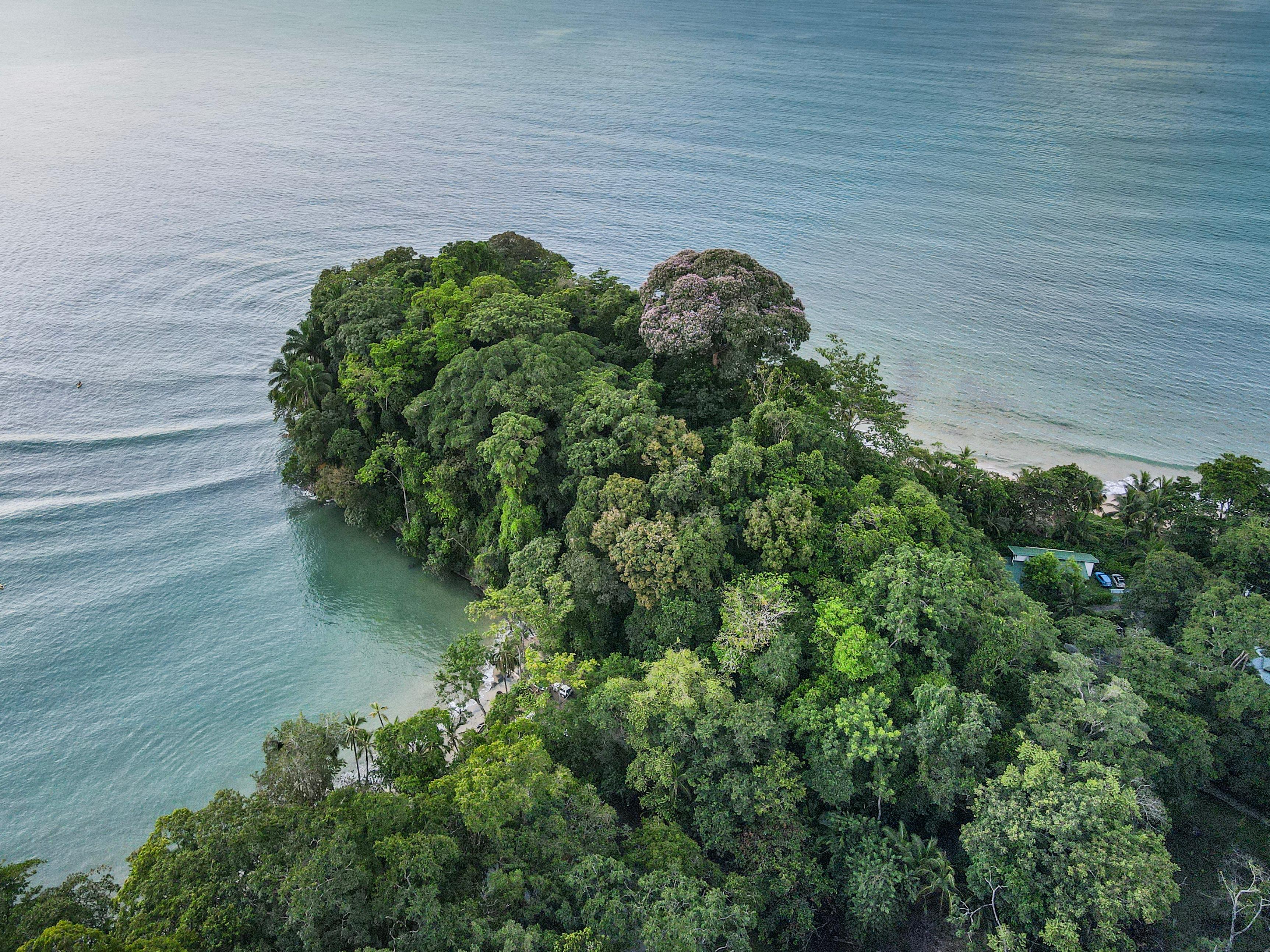 Punta Uva Wildlife Kayaking & Jungle Trail Tour