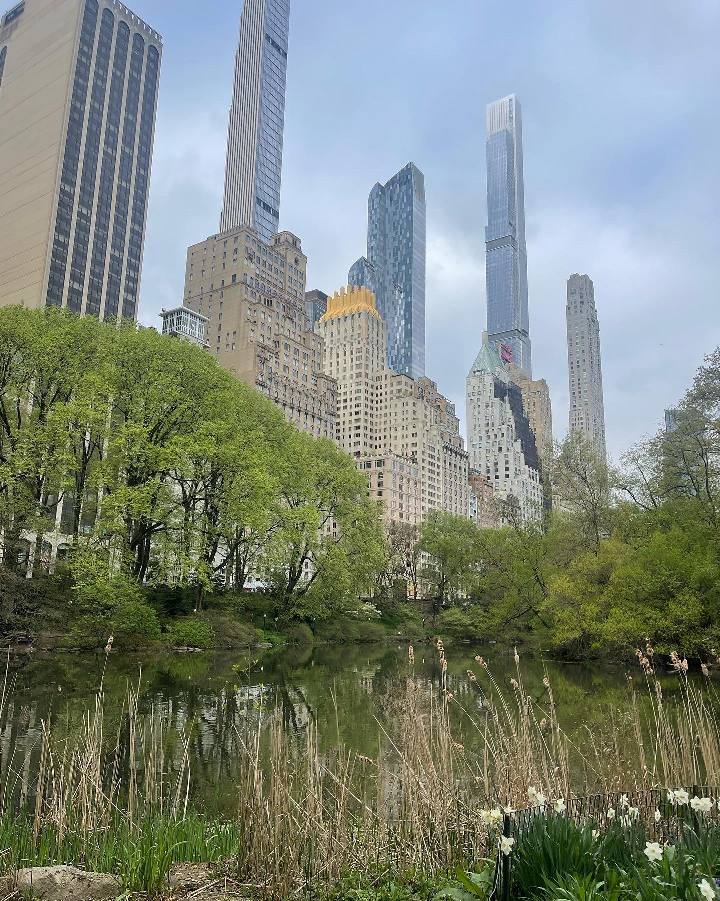 Central Park Exploration by Pedicab or Carriage