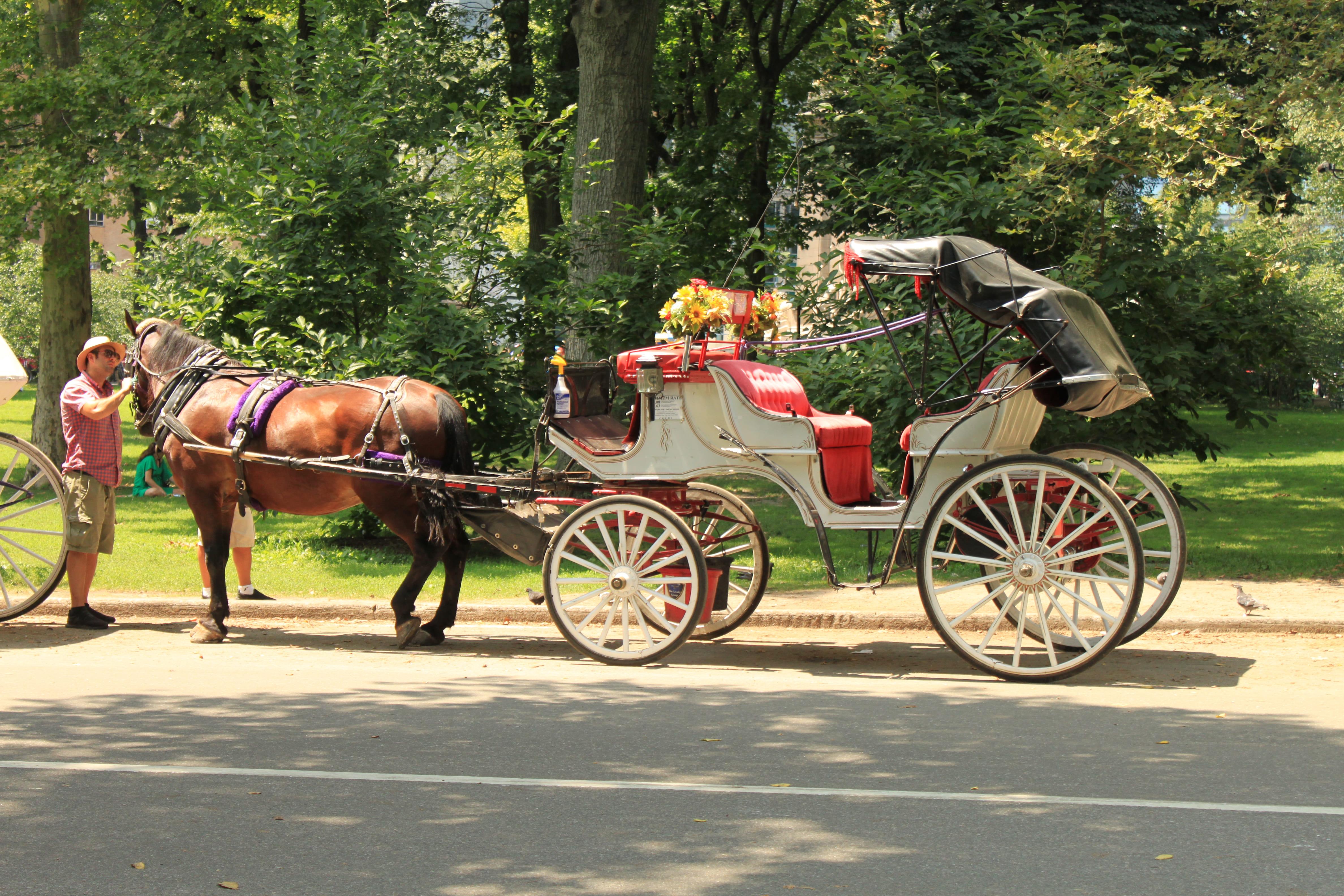 Private Central Park Horse Carriage Tour with Guide