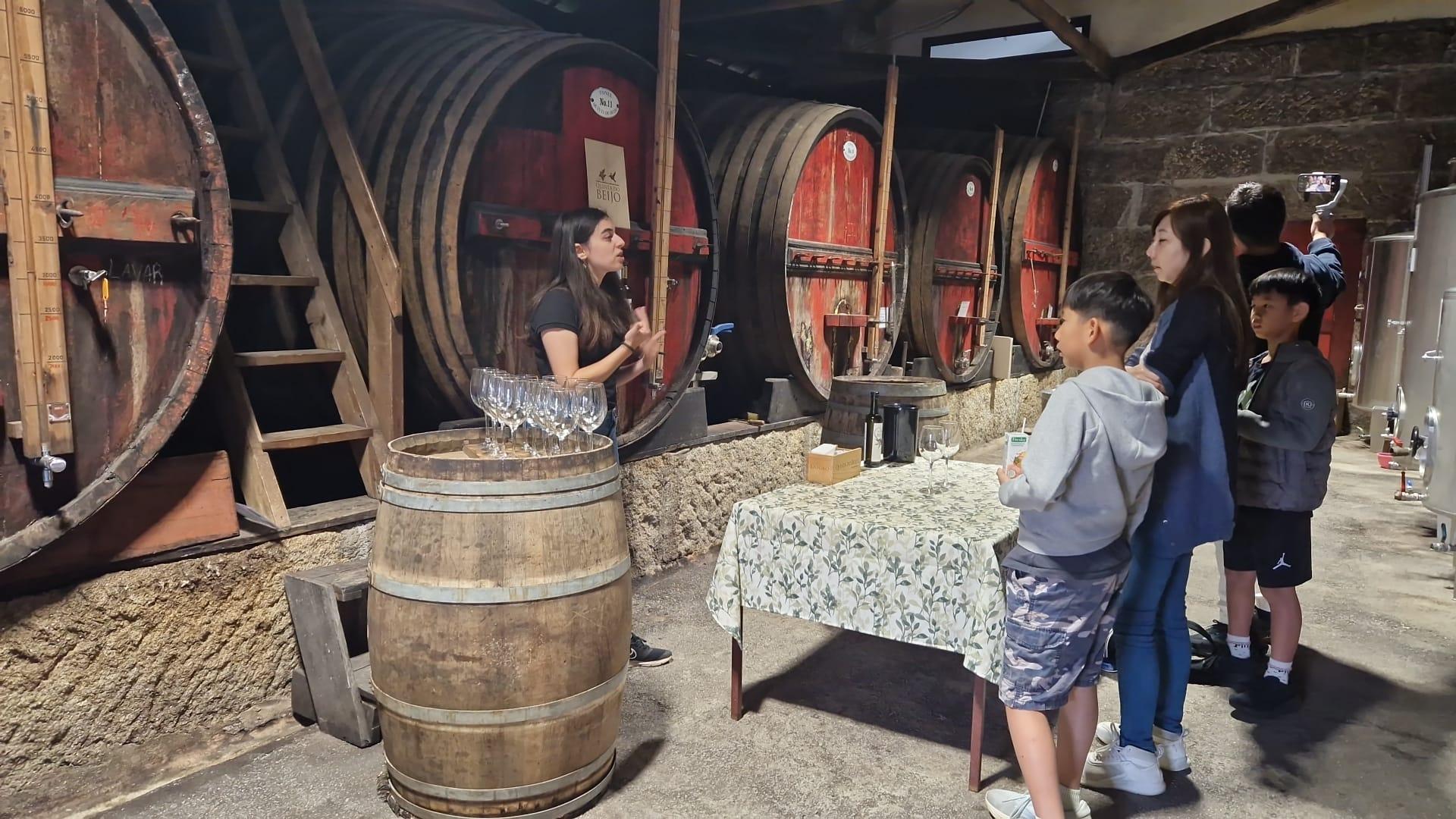 Douro Valley Small-Group Wine & Boat Tour from Porto