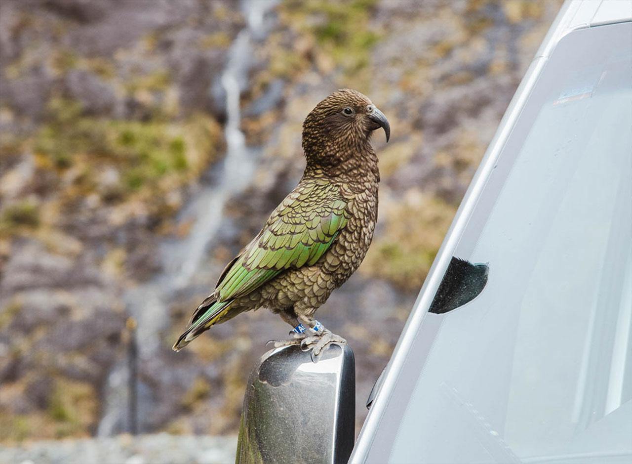 Milford Sound Small-Group Day Tour from Te Anau