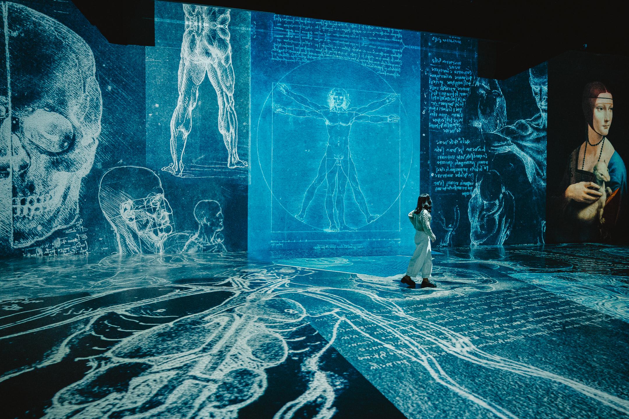 MINA Immersive Art Museum Entry