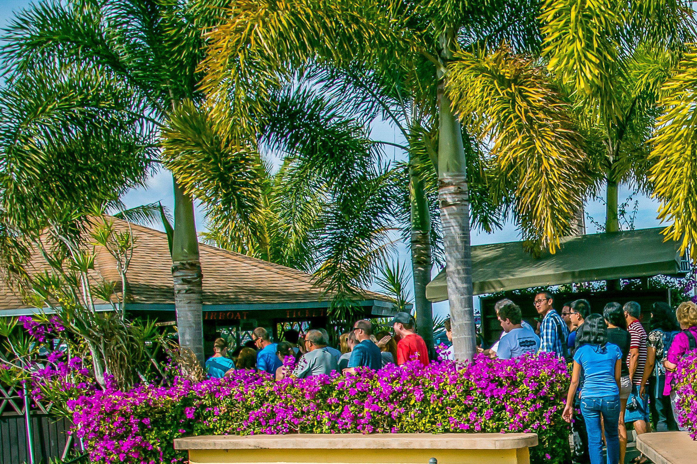 Everglades Safari Park Airboat Adventure
