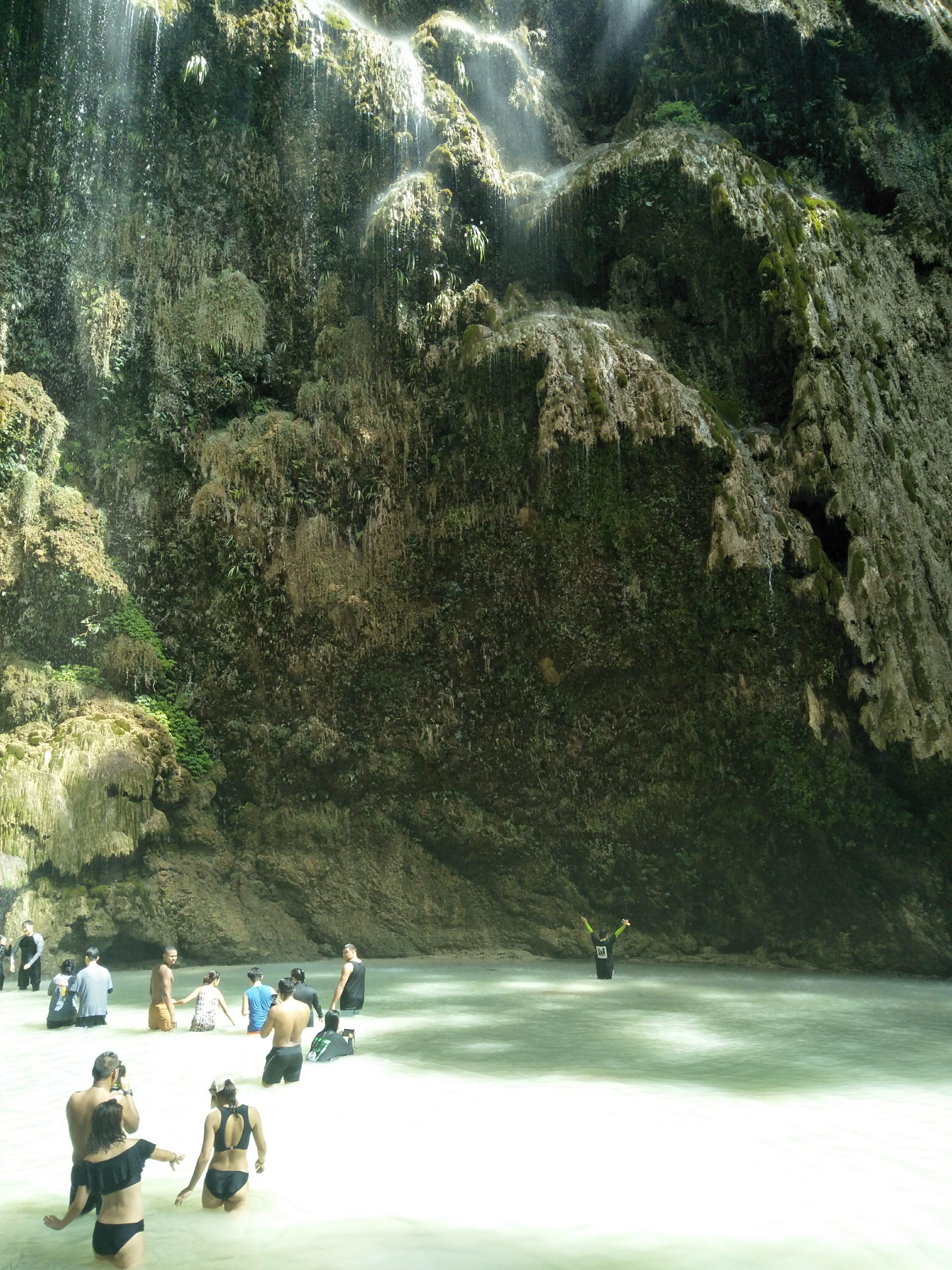 Cebu 2-Day Private Southern Tour: Moalboal & Oslob