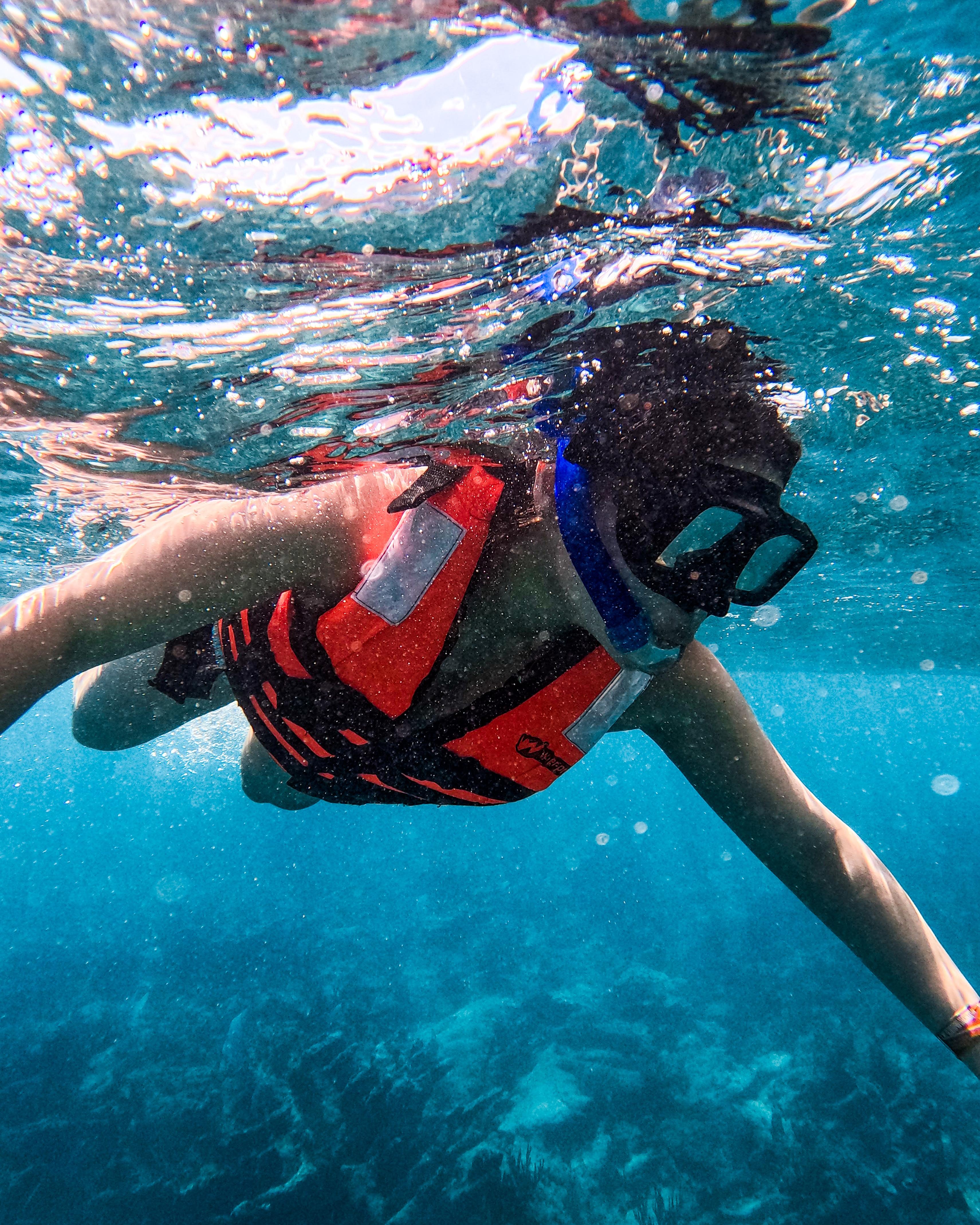 Tulum Reef Snorkeling: Two Sites in Two Hours