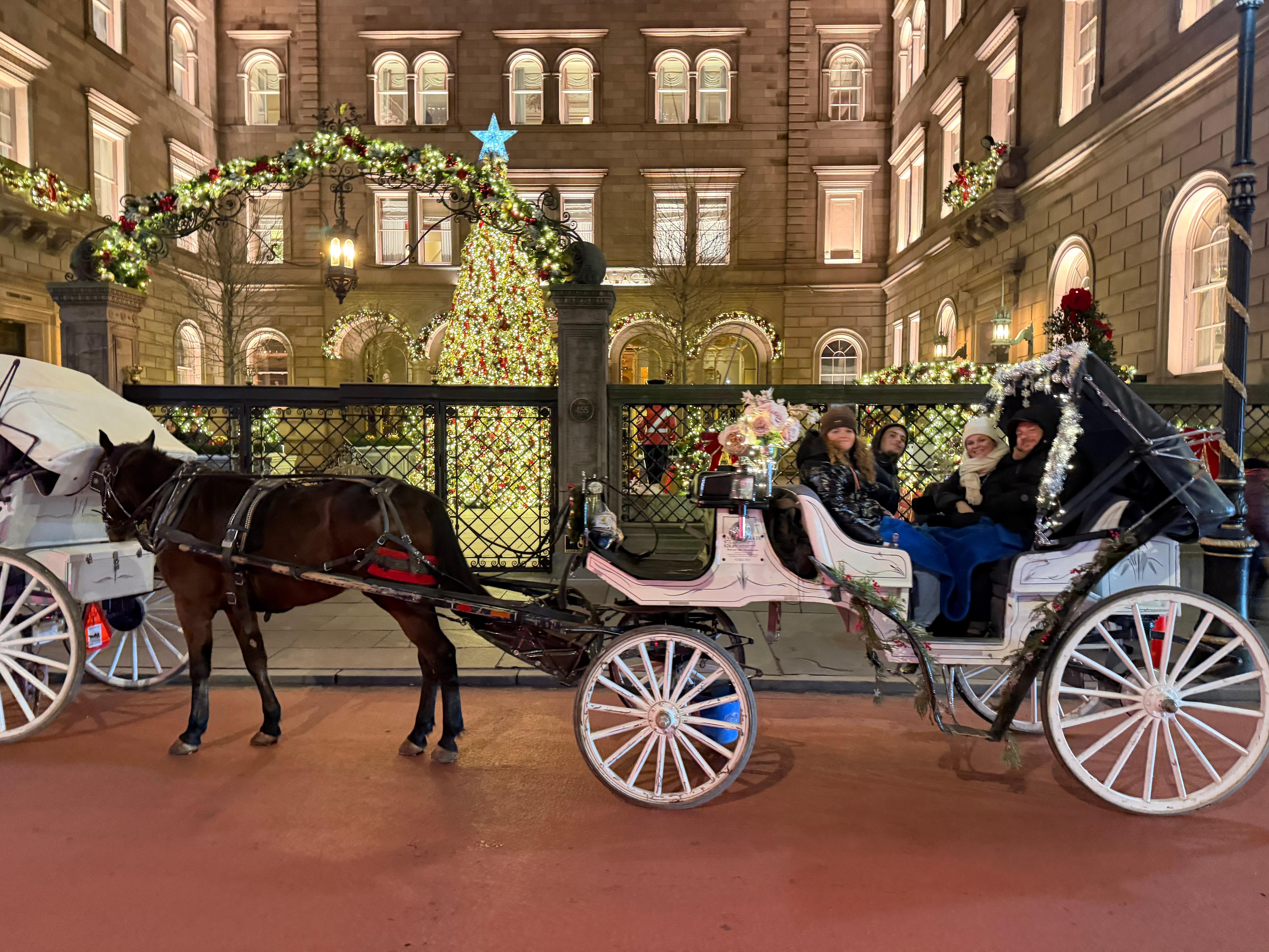 Private Central Park Horse Carriage Tour with Guide