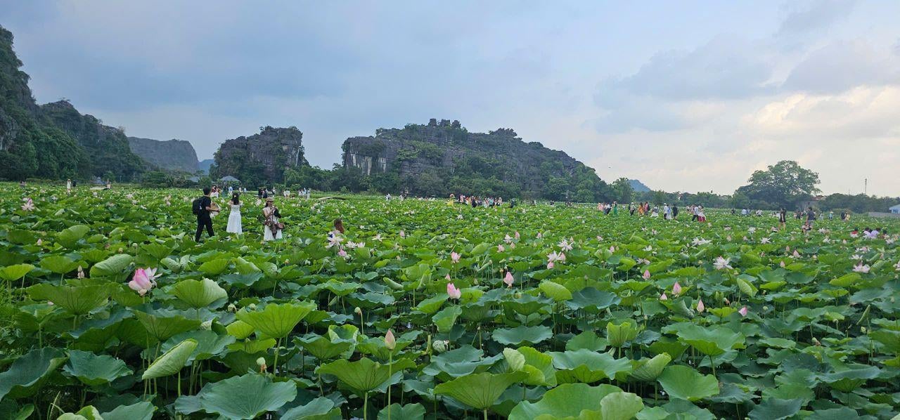 Hanoi to Ninh Binh: Hoa Lu, Trang An & Mua Cave Day Tour