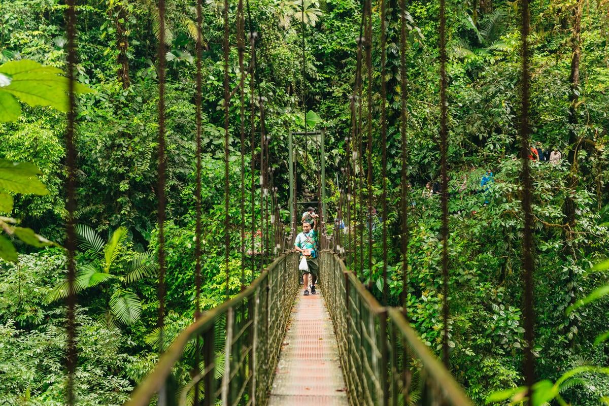 La Fortuna: Waterfall, Volcano & Hot Springs Full-Day Tour